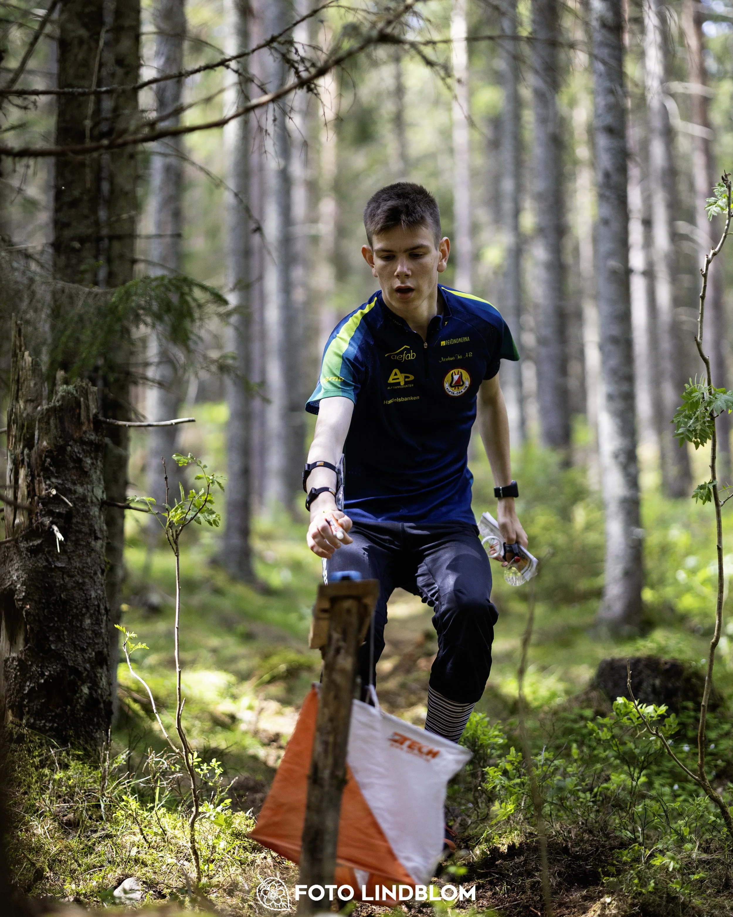 A picture from the seventh stage of the Swedish League orienteering competition