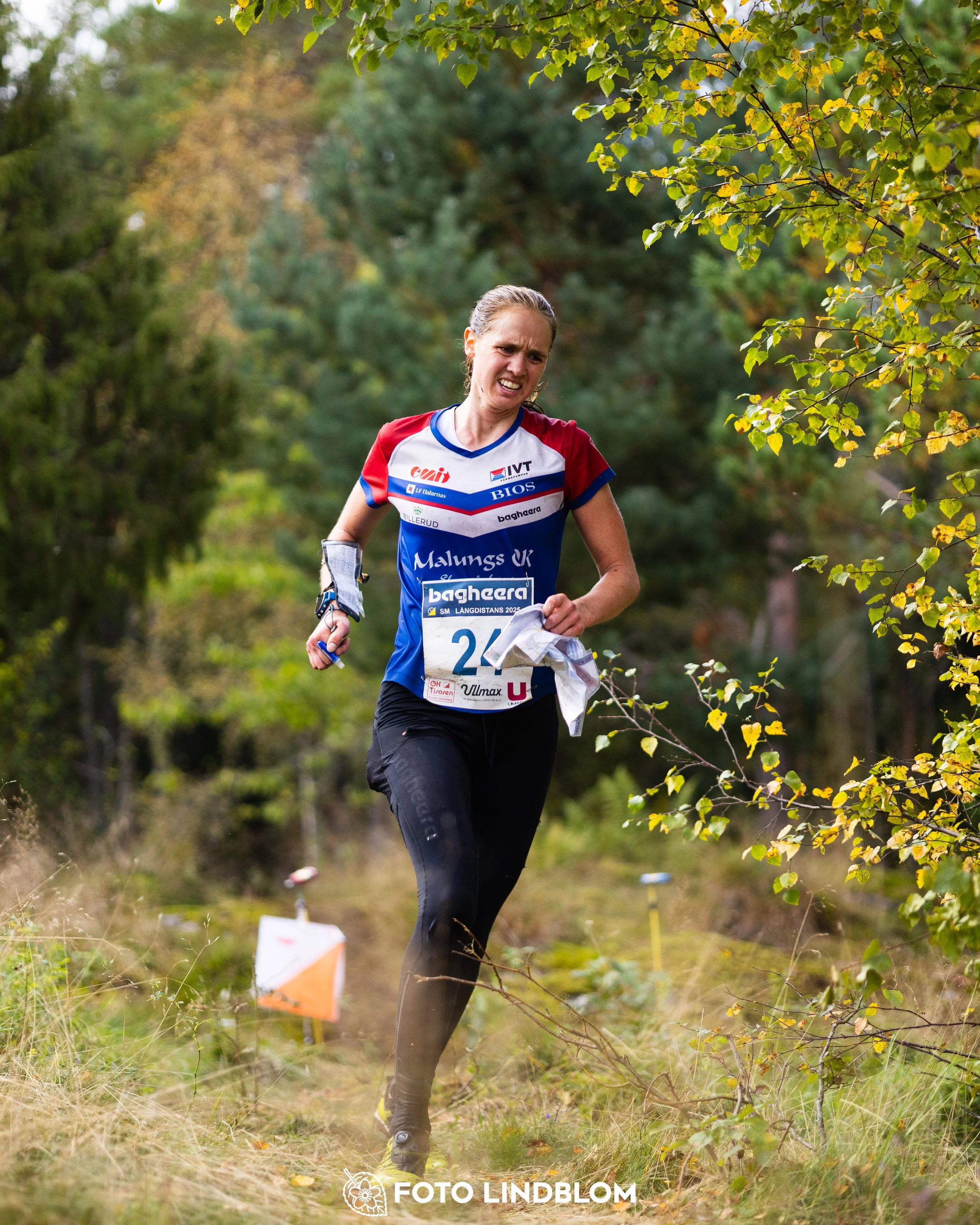 A picture from the Swedish national championship in long distance orienteering and Swedish league race taken by Foto Lindblom