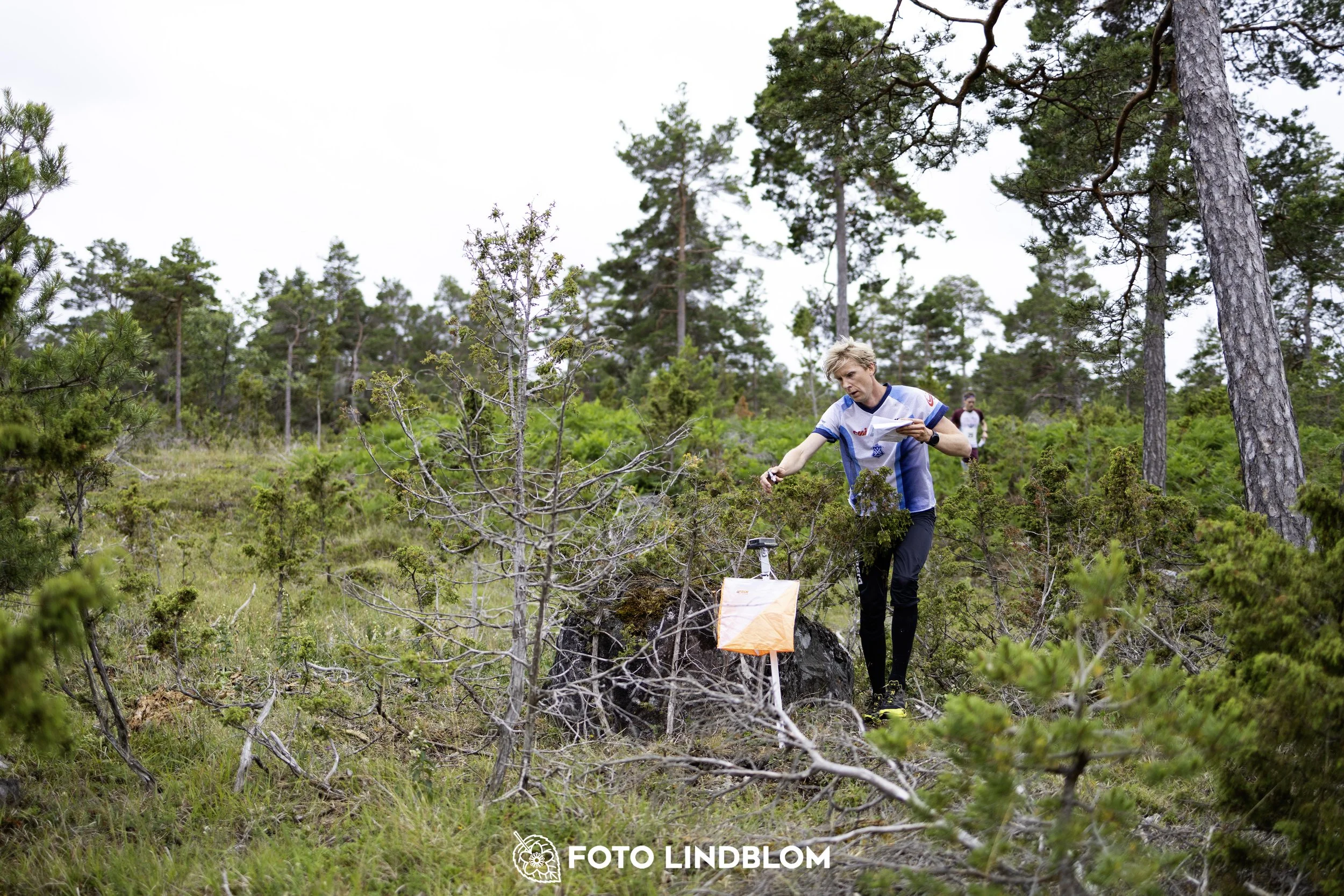 A picture from the Gotlands 2-Dagars orienteering competition