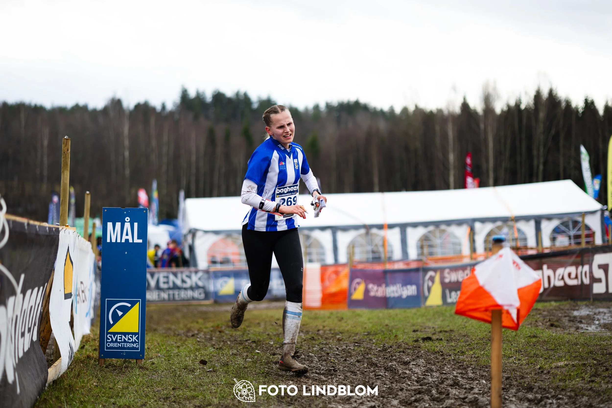 A moment from a middle distance orienteering race in Kolmården during the Swedish League 2026, captured by Foto Lindblom.
