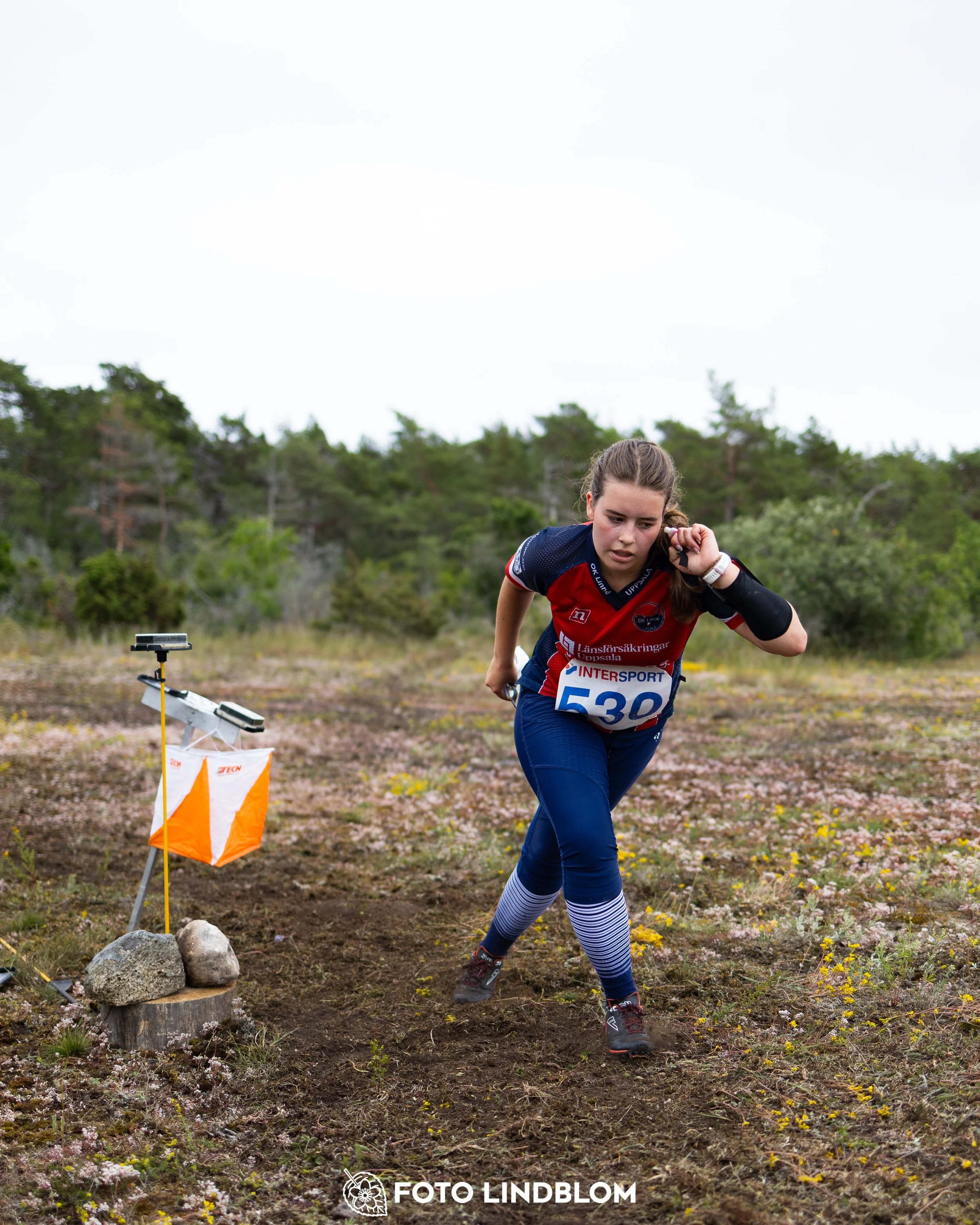 A picture from the Gotlands 3-Dagars orienteering competition