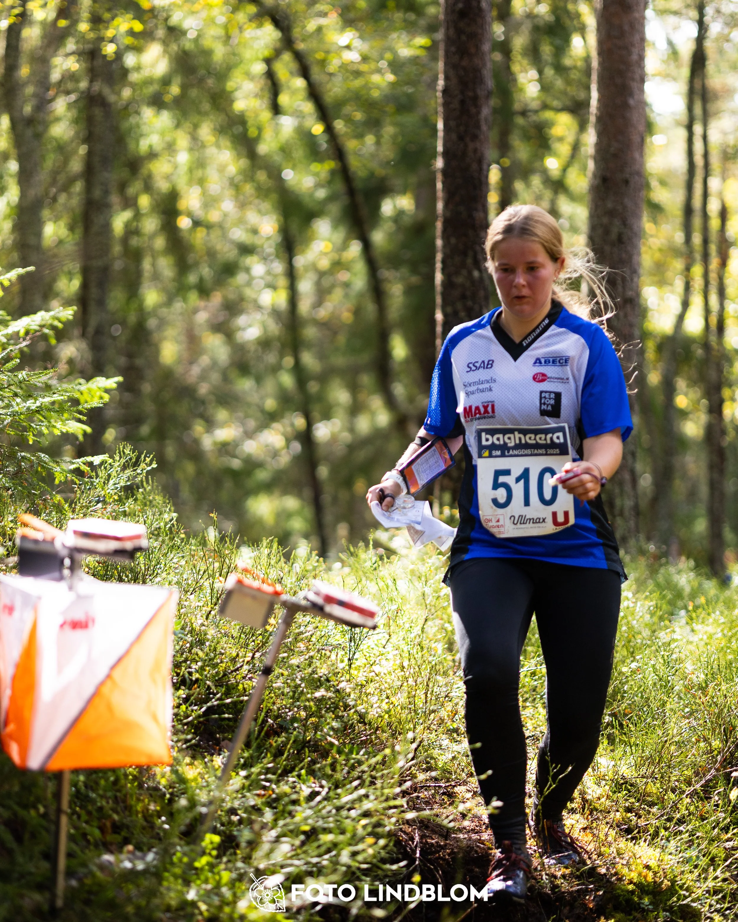 A picture from the Swedish national championship in long distance orienteering and Swedish league race taken by Foto Lindblom