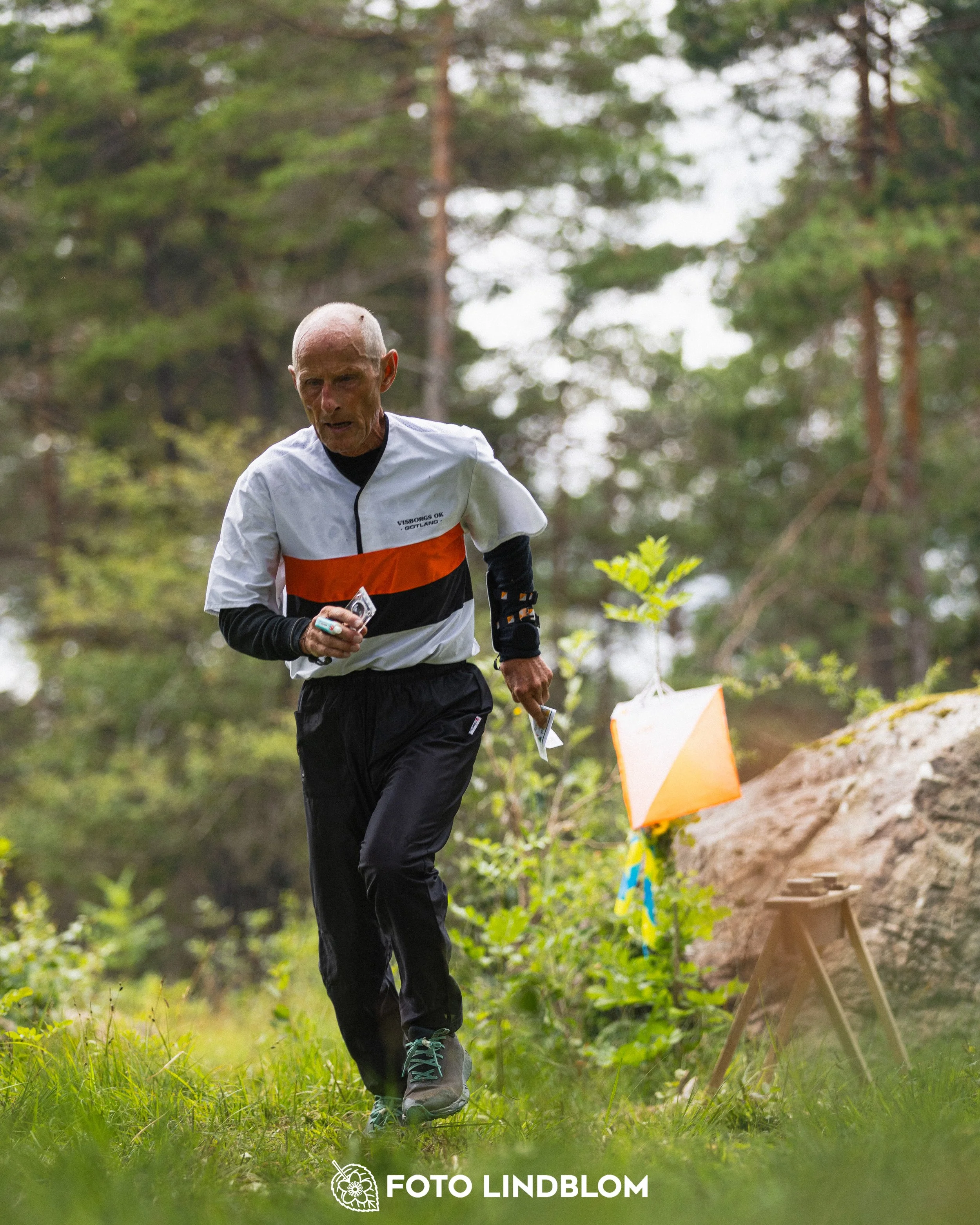 260704-Gotlands_2dagars-81.jpg