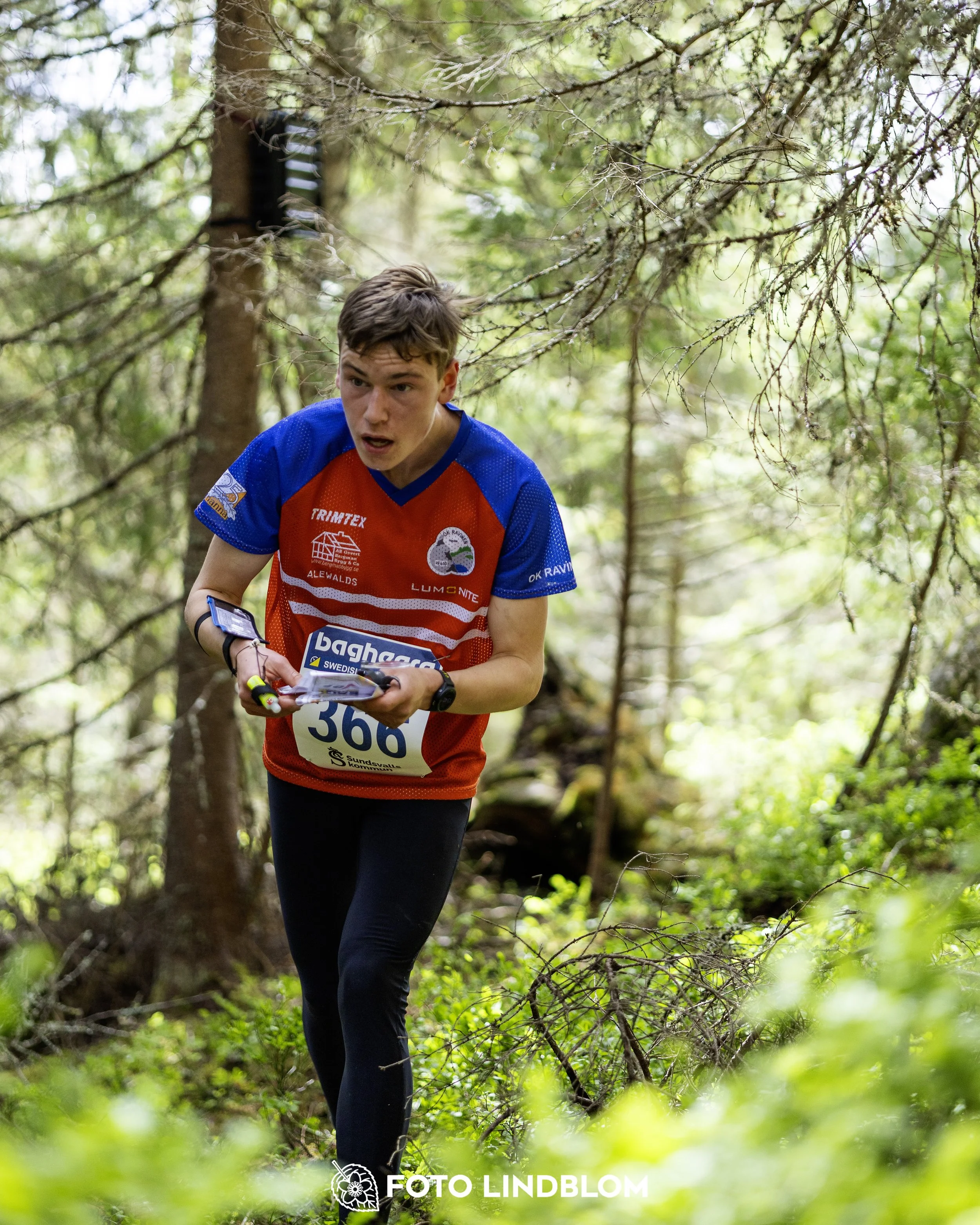 A picture from the seventh stage of the Swedish League orienteering competition