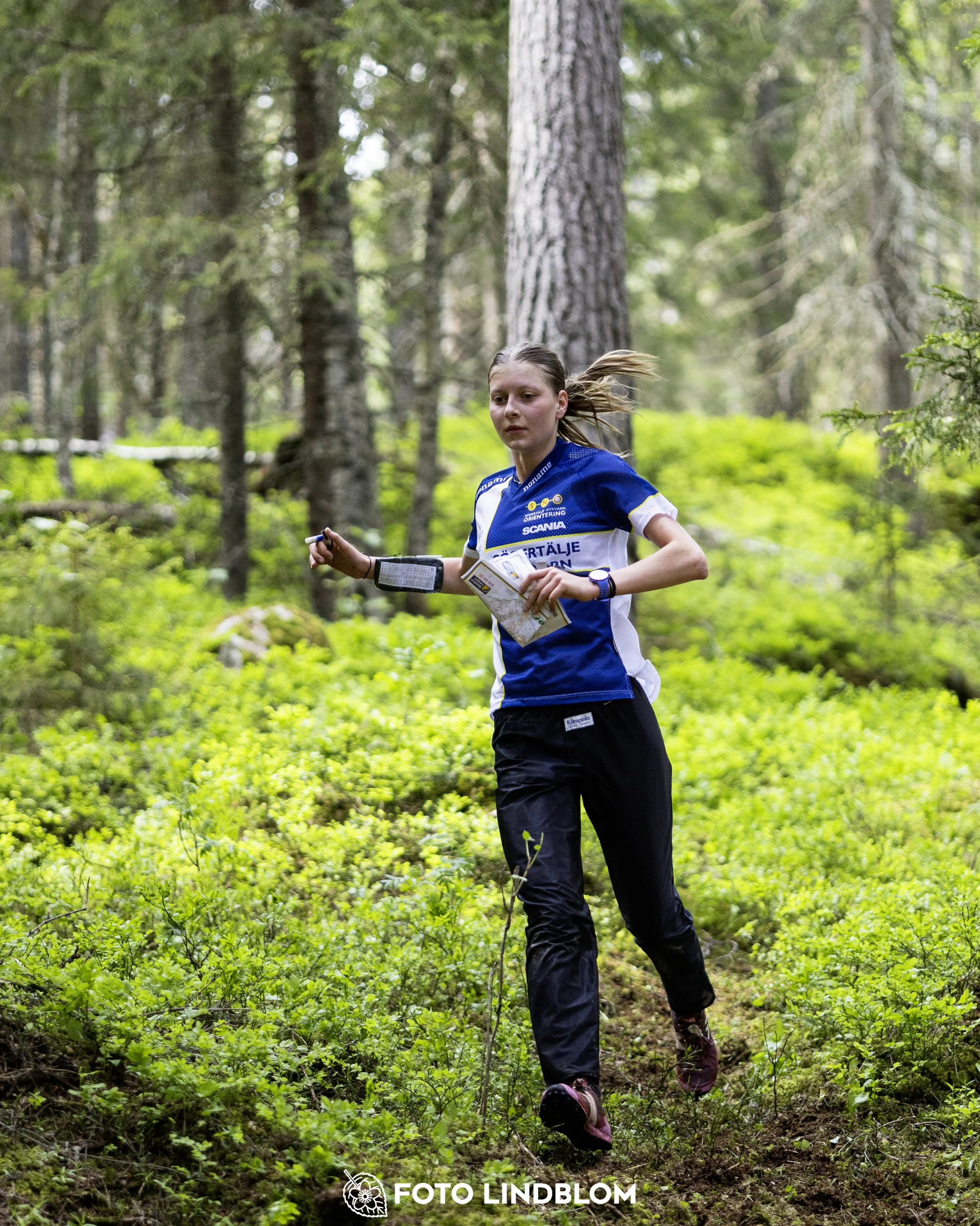 A picture from the seventh stage of the Swedish League orienteering competition