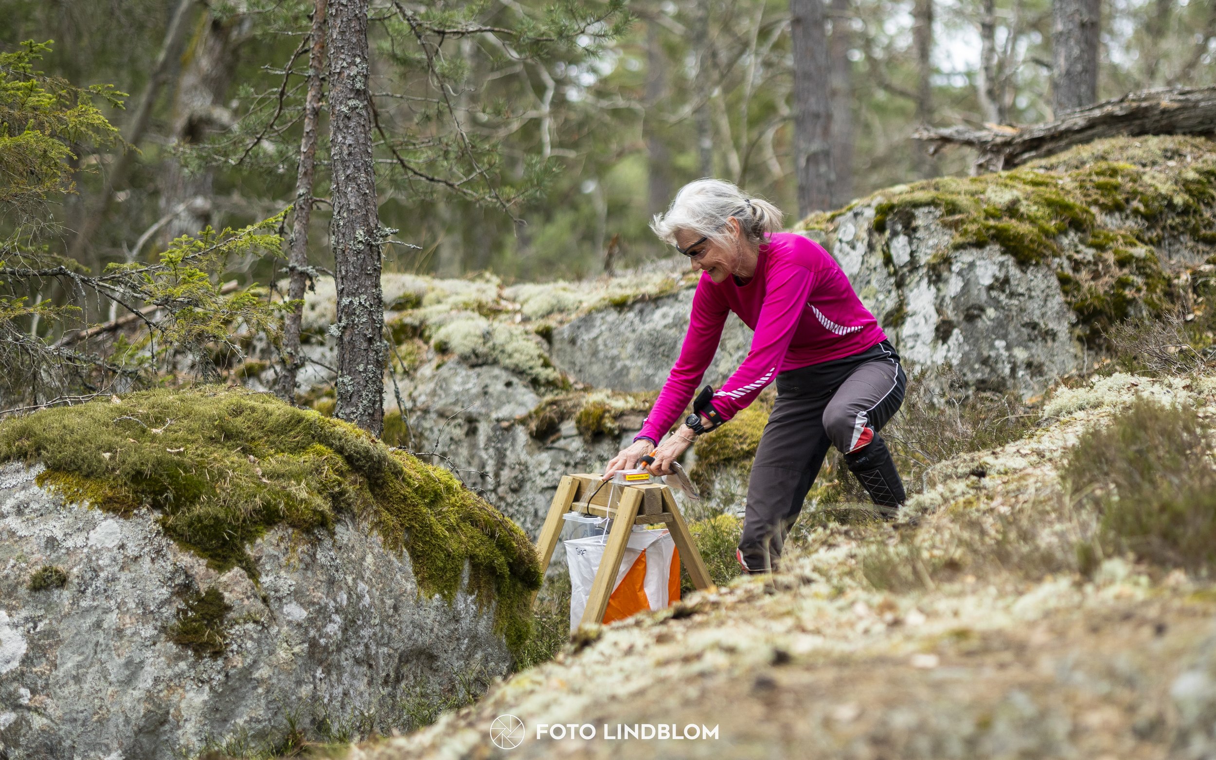 A picture from the orienteering competition "Orminge Medeln"
