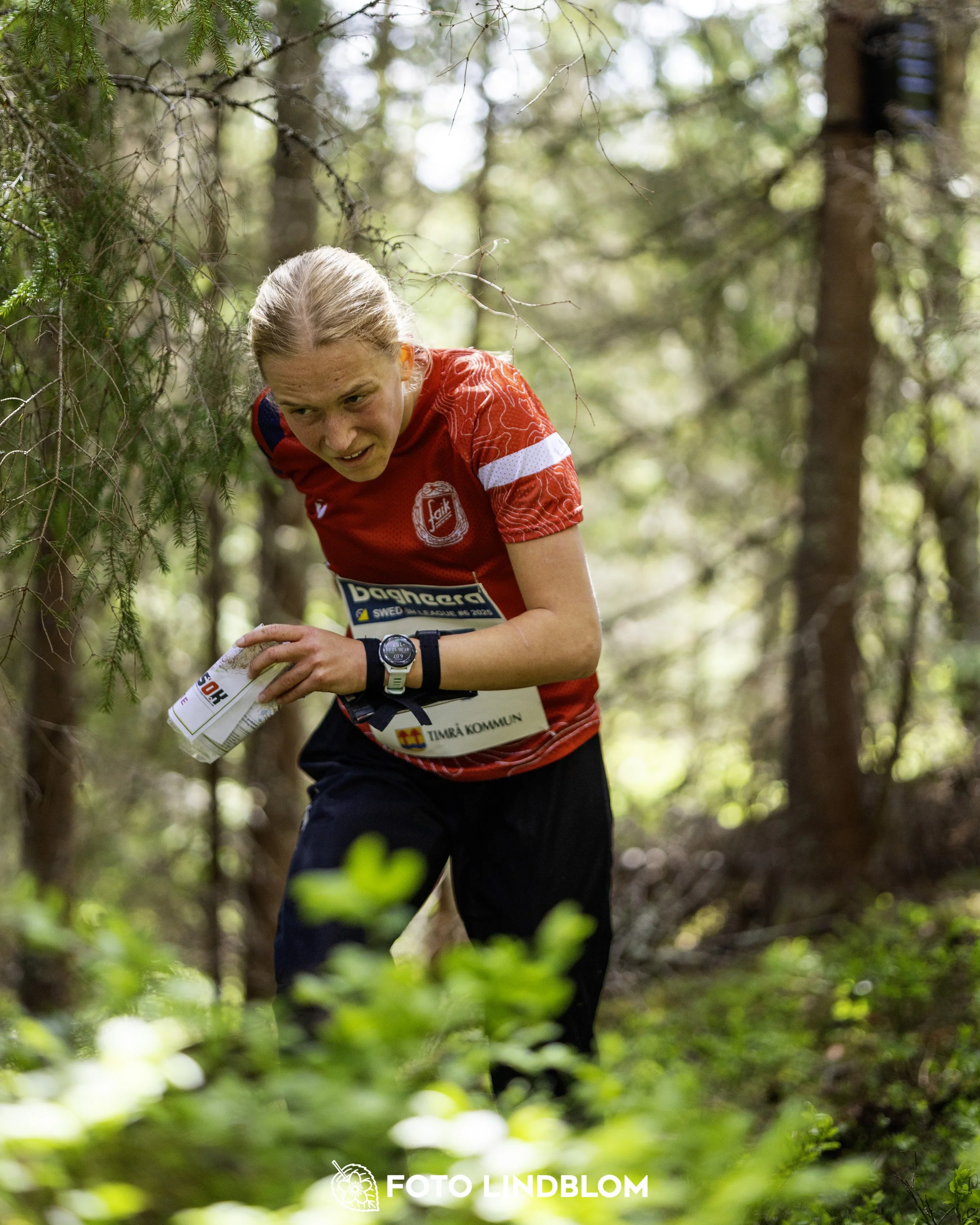A picture from the seventh stage of the Swedish League orienteering competition