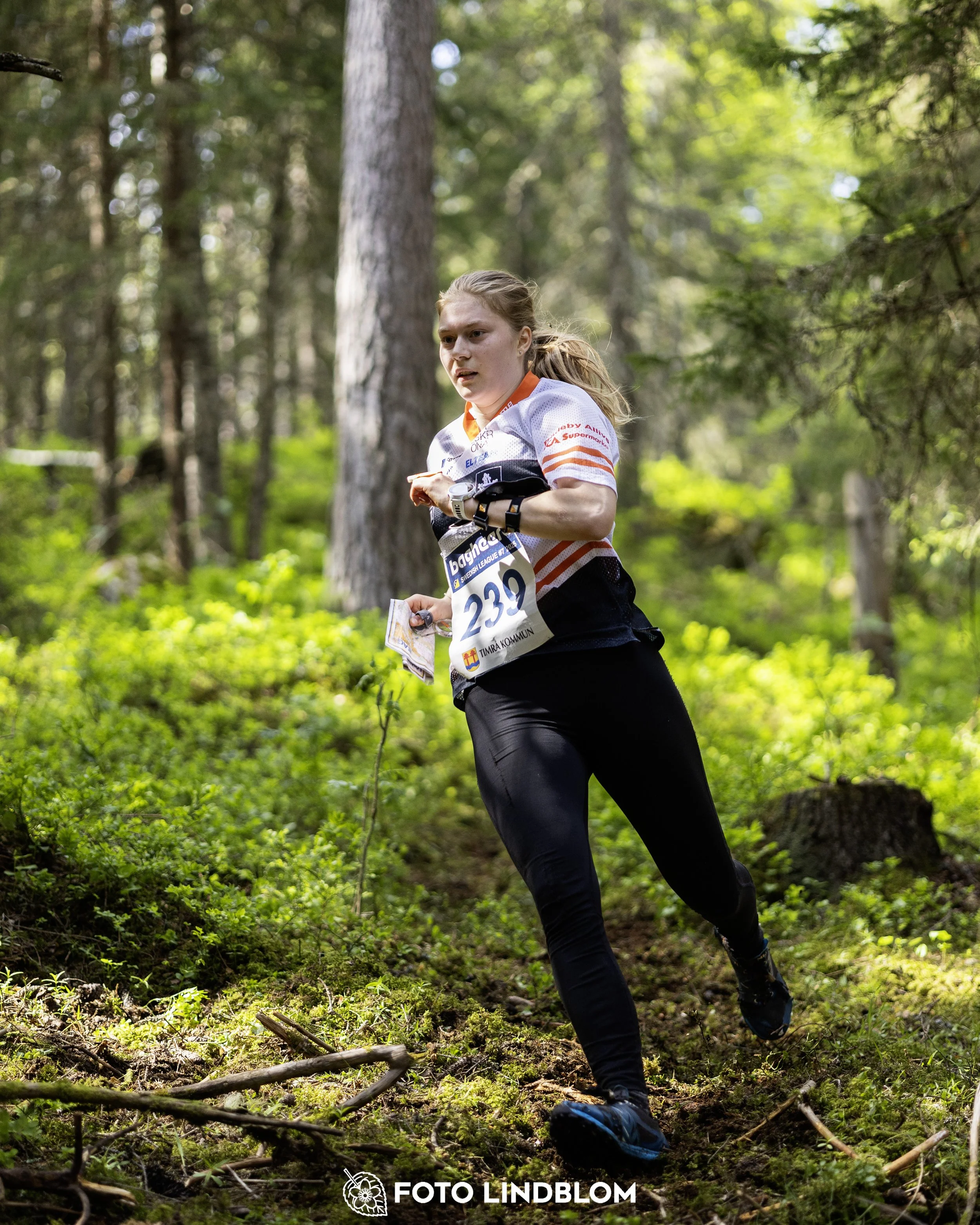 A picture from the seventh stage of the Swedish League orienteering competition