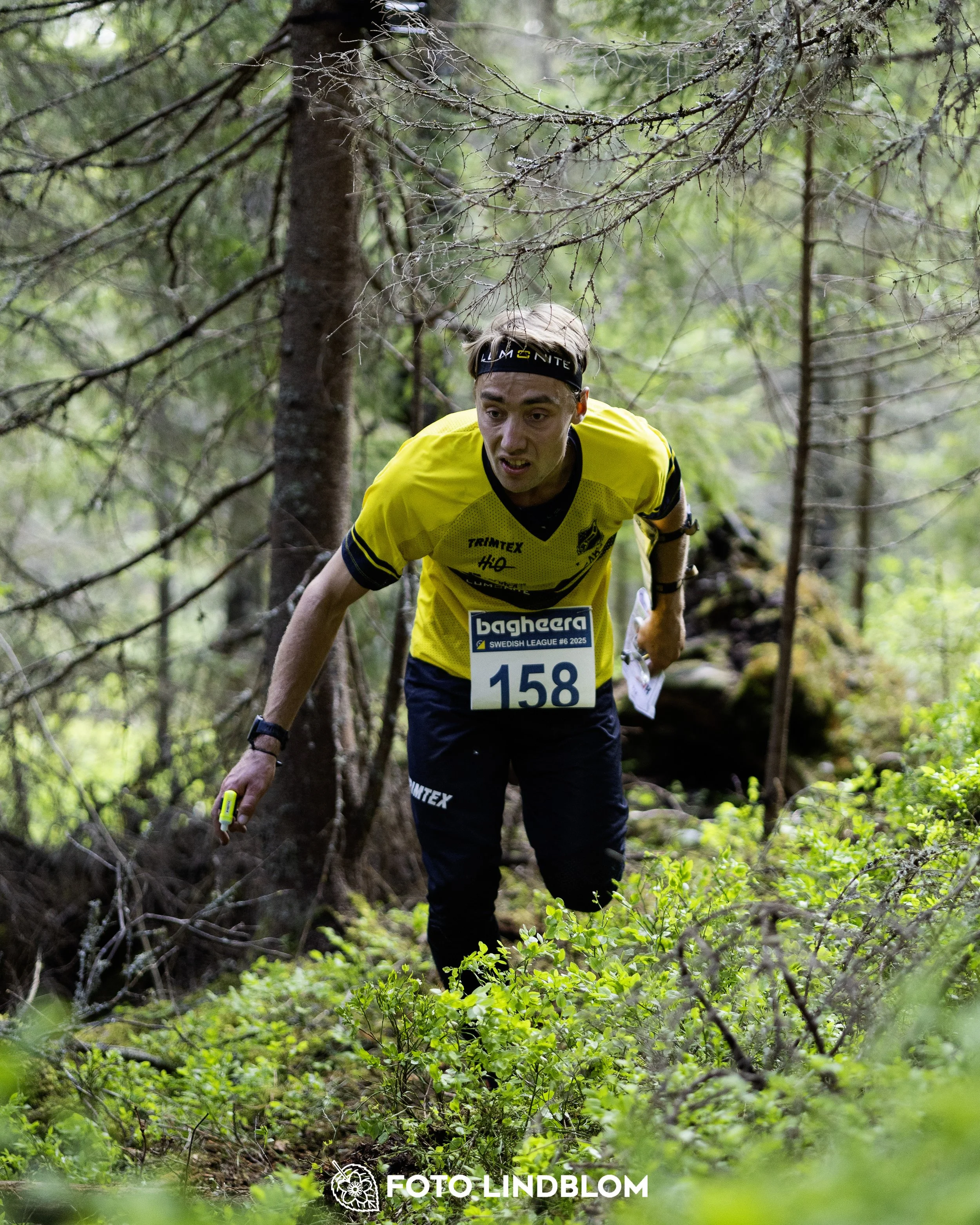 A picture from the seventh stage of the Swedish League orienteering competition