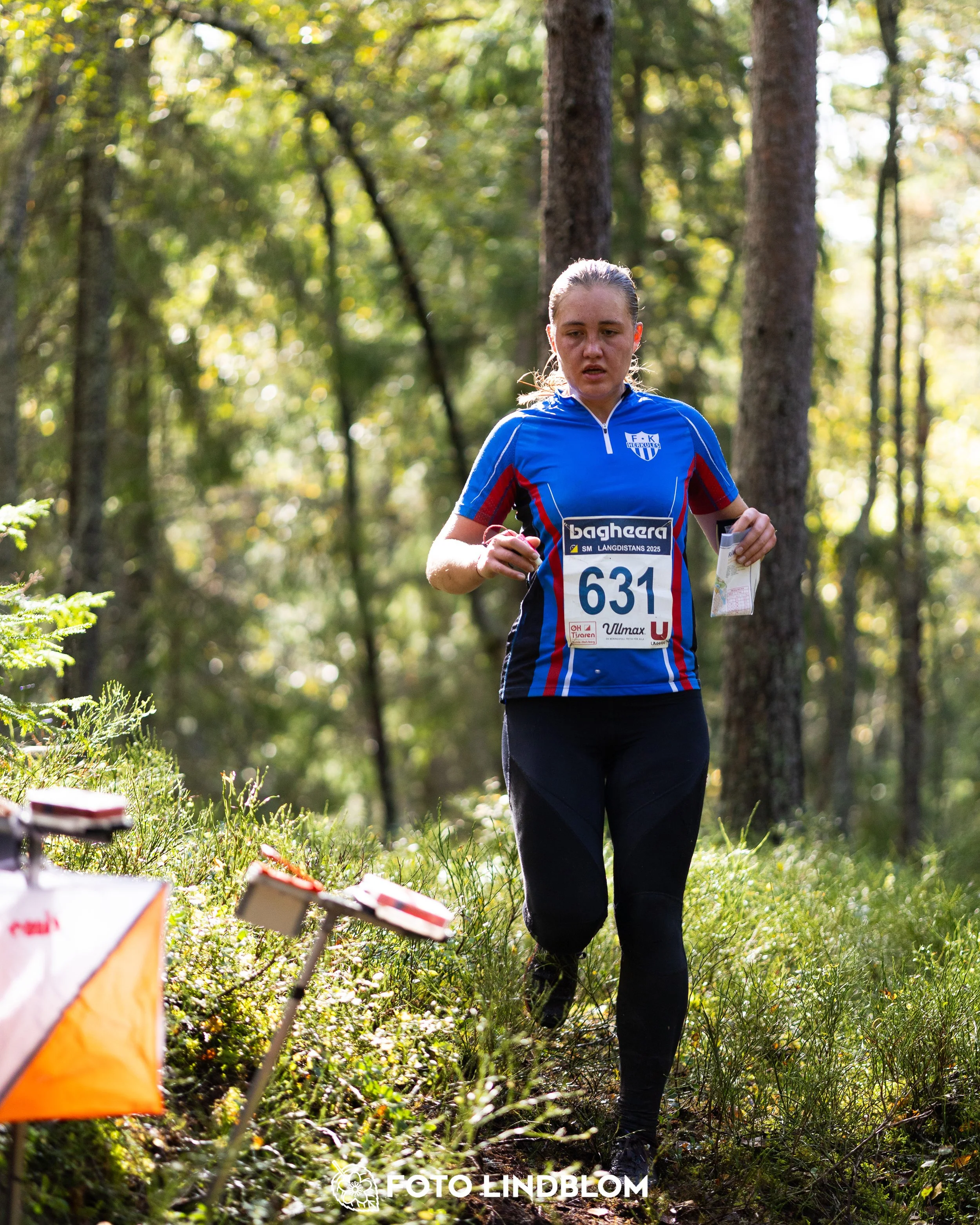 A picture from the Swedish national championship in long distance orienteering and Swedish league race taken by Foto Lindblom