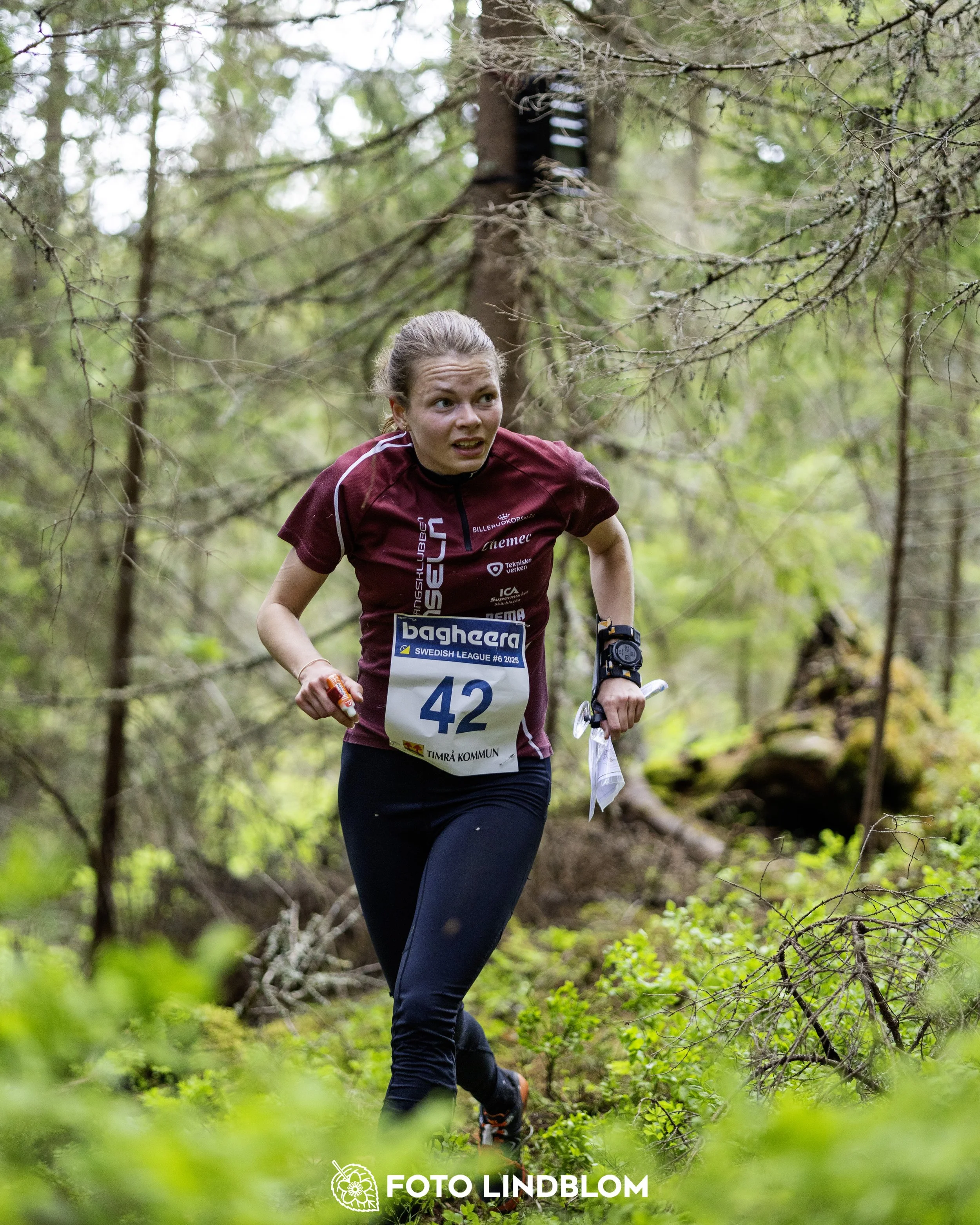 A picture from the seventh stage of the Swedish League orienteering competition