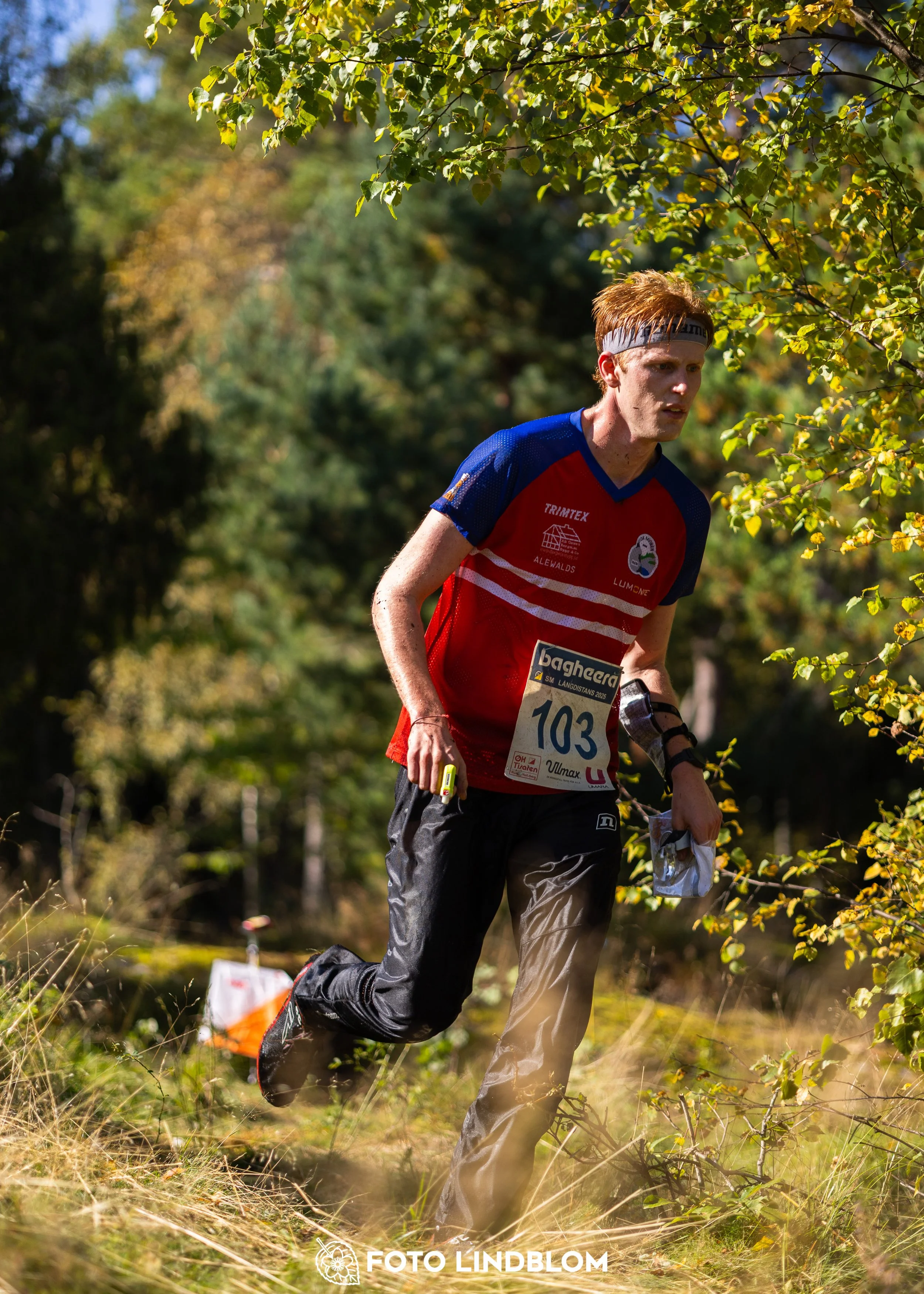A picture from the Swedish national championship in long distance orienteering and Swedish league race taken by Foto Lindblom