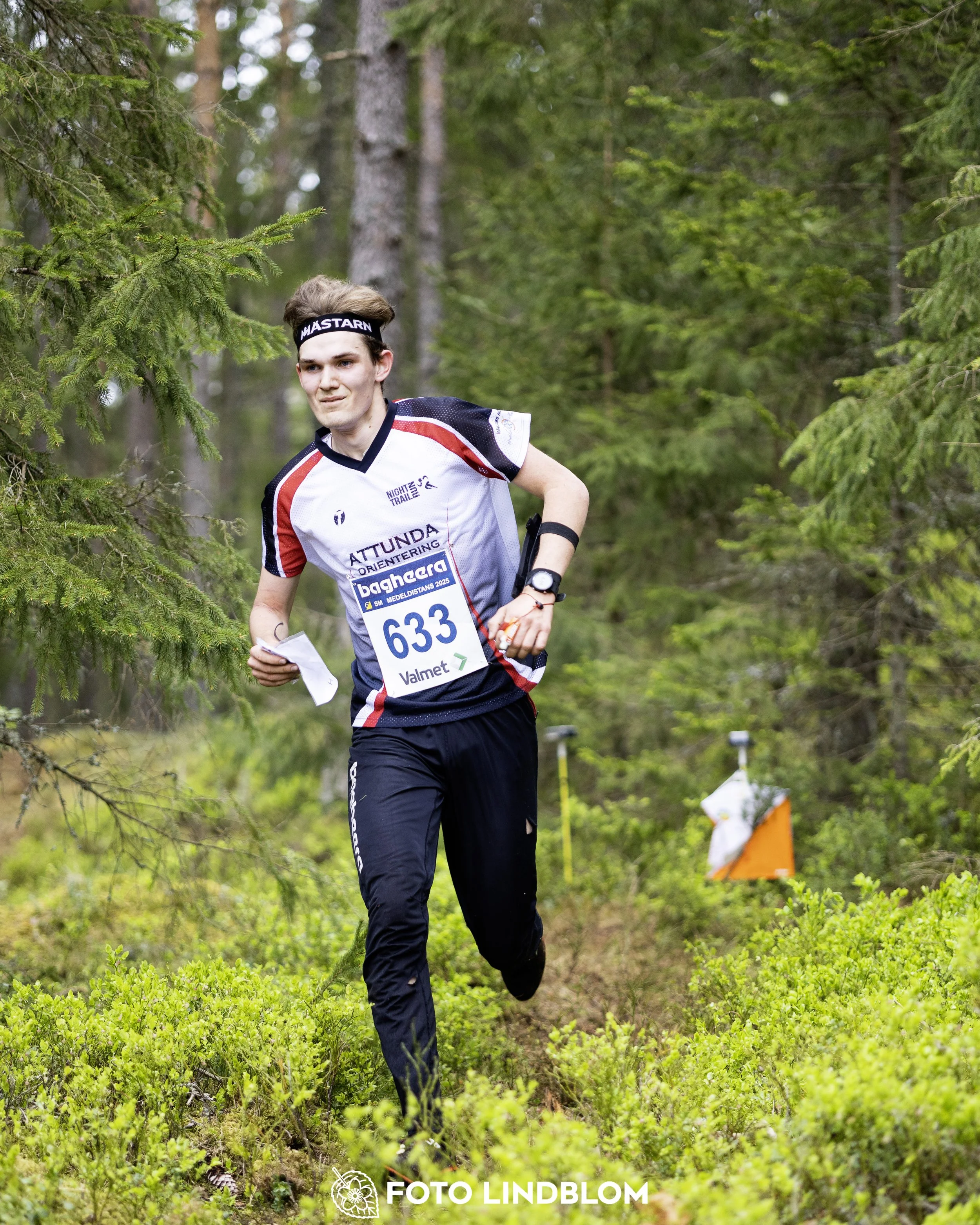 A picture from the Swedish national championship in middle distance orienteering and Swedish league race