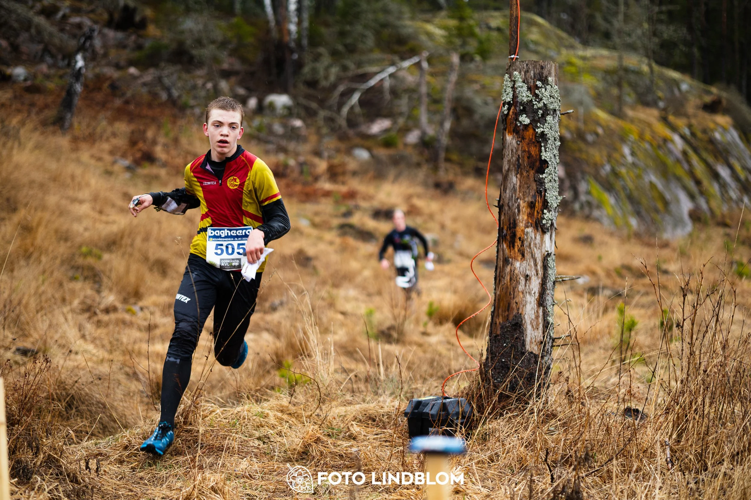 A scene from the Swedish League middle distance event in Kolmården spring 2026, captured by Foto Lindblom.