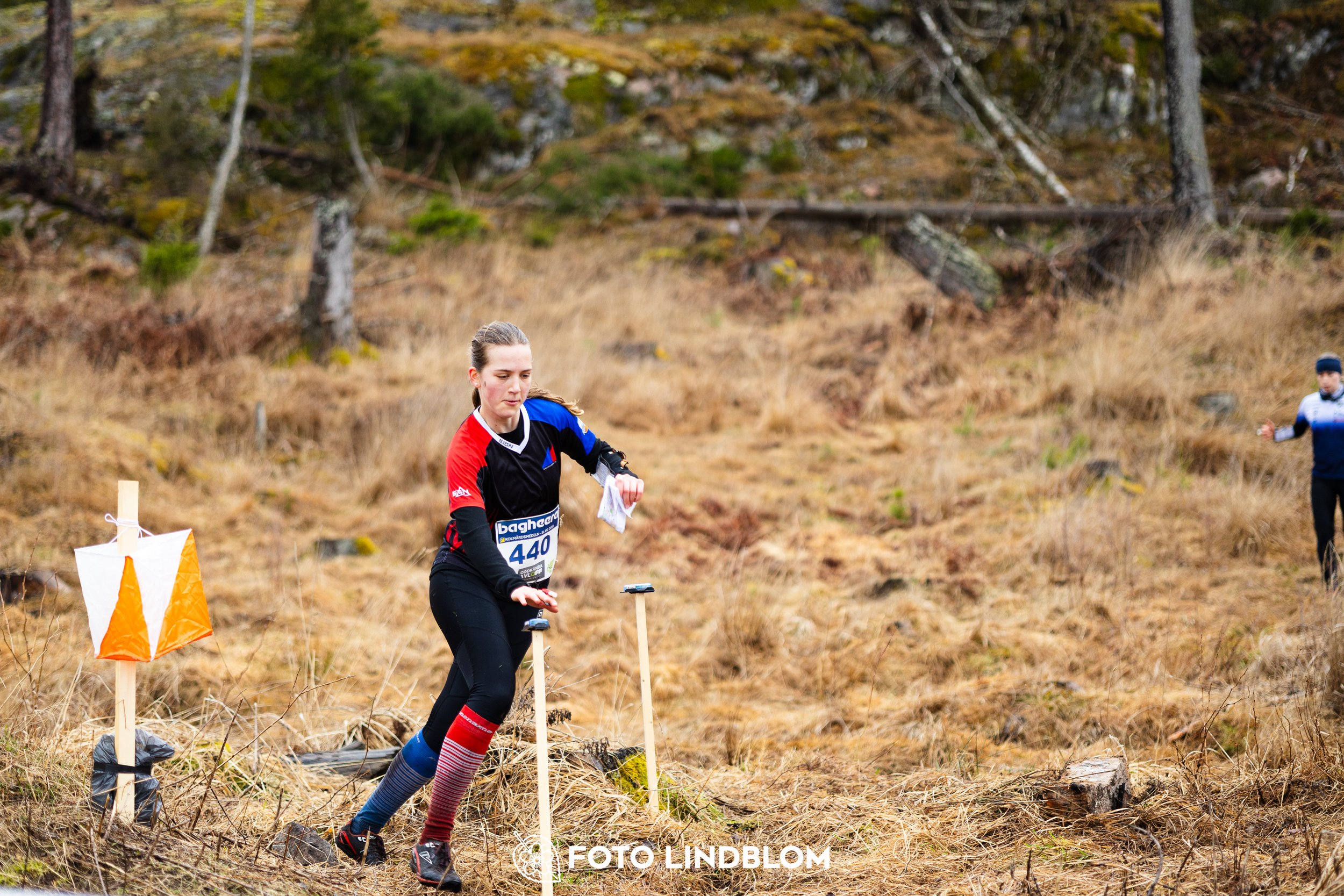 A moment from a middle distance orienteering race in Kolmården during the Swedish League 2026, captured by Foto Lindblom.