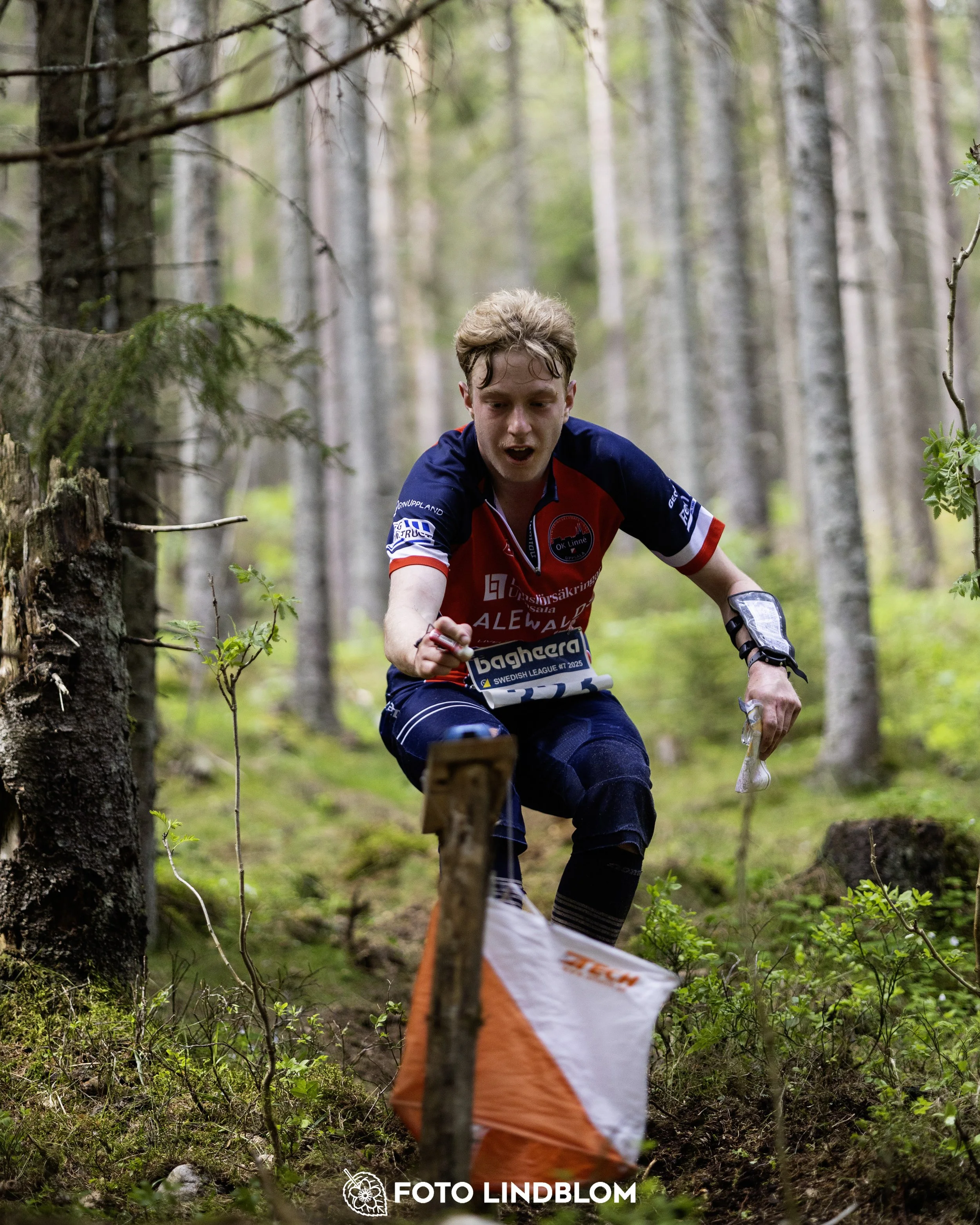 A picture from the seventh stage of the Swedish League orienteering competition