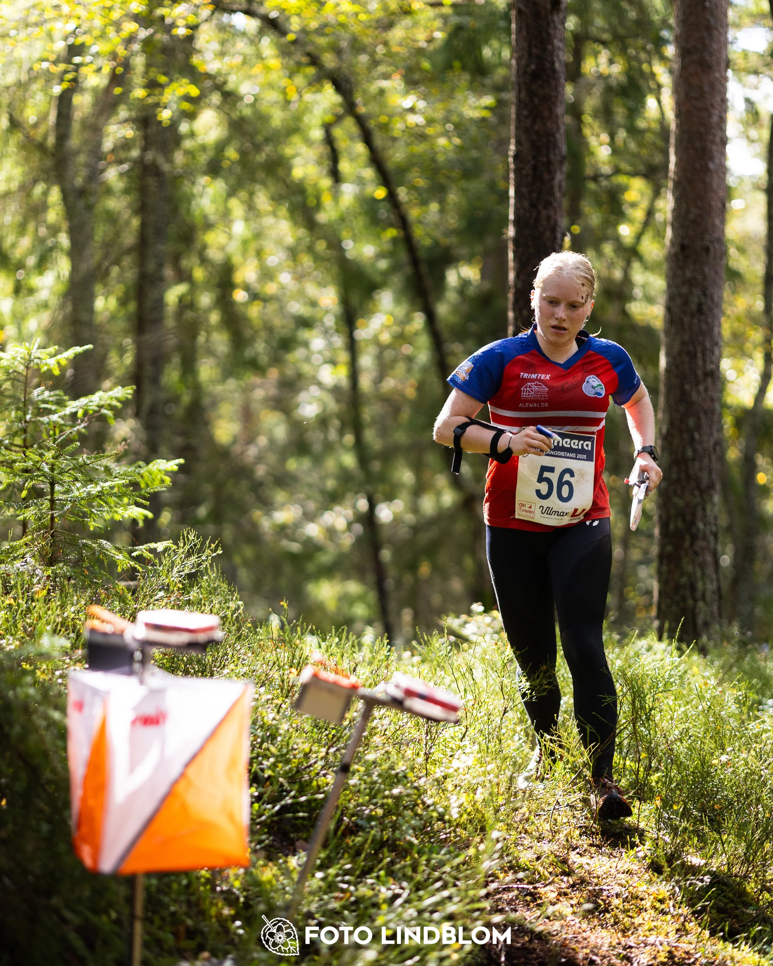 A picture from the Swedish national championship in long distance orienteering and Swedish league race taken by Foto Lindblom