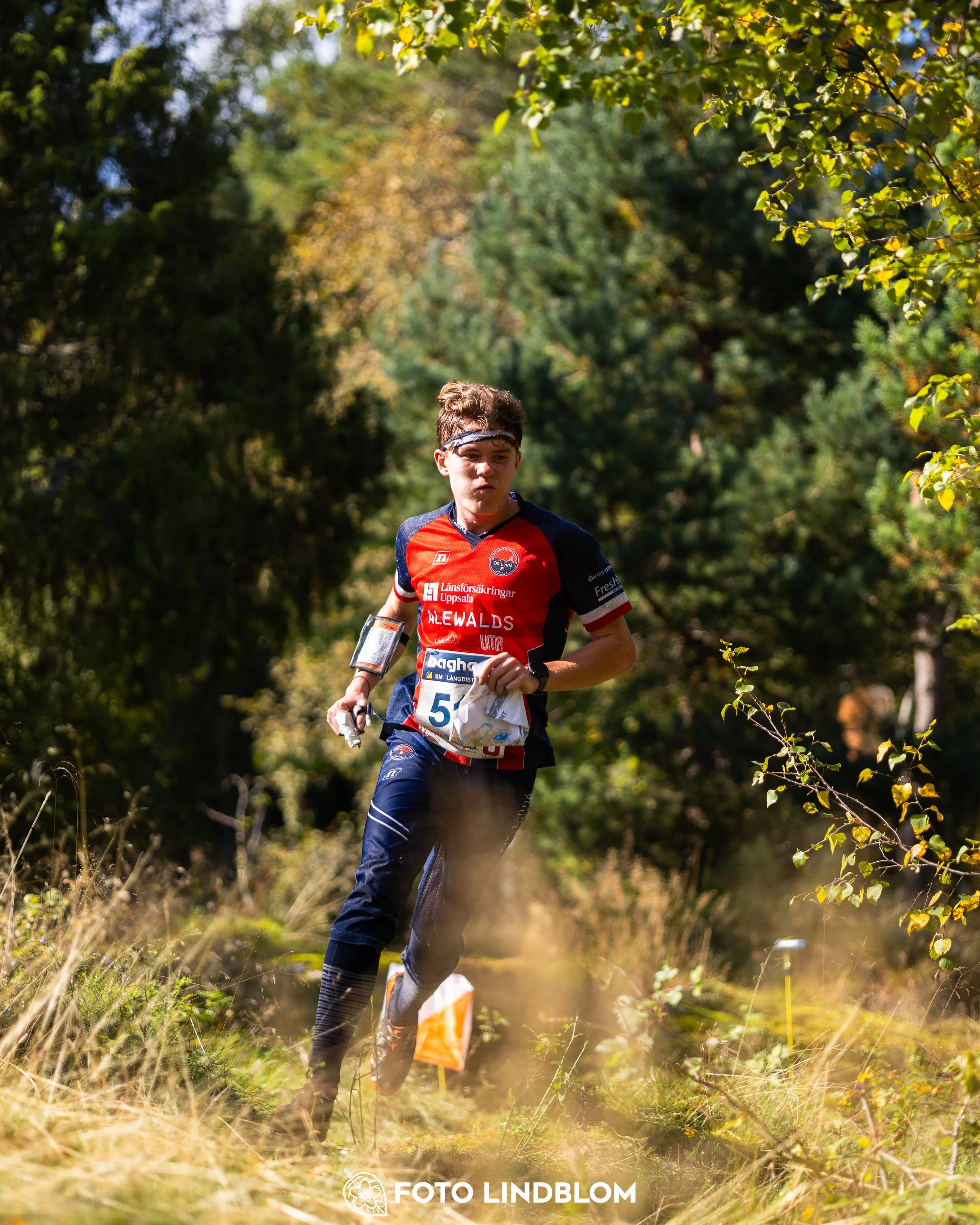 A picture from the Swedish national championship in long distance orienteering and Swedish league race taken by Foto Lindblom