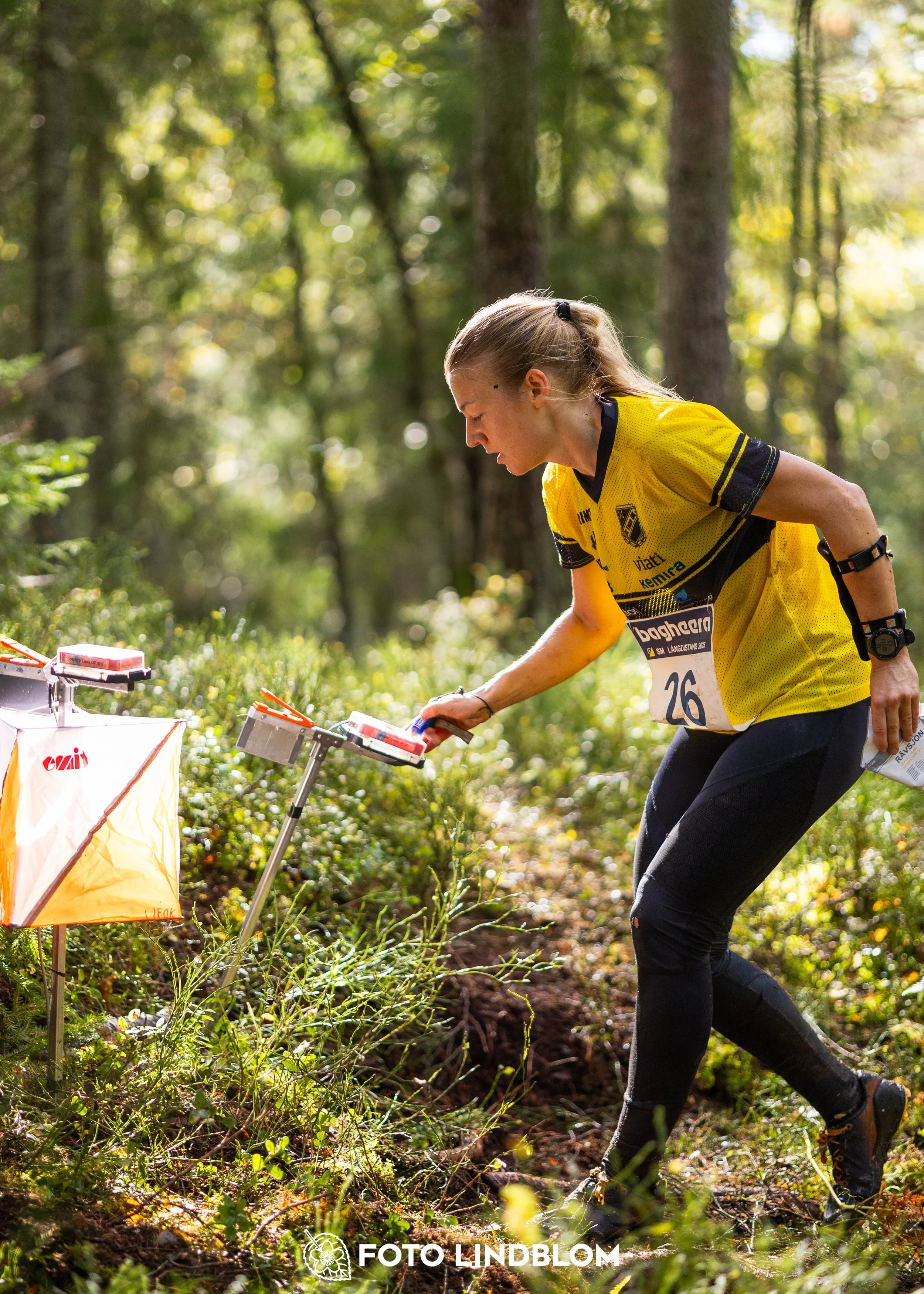 A picture from the Swedish national championship in long distance orienteering and Swedish league race taken by Foto Lindblom