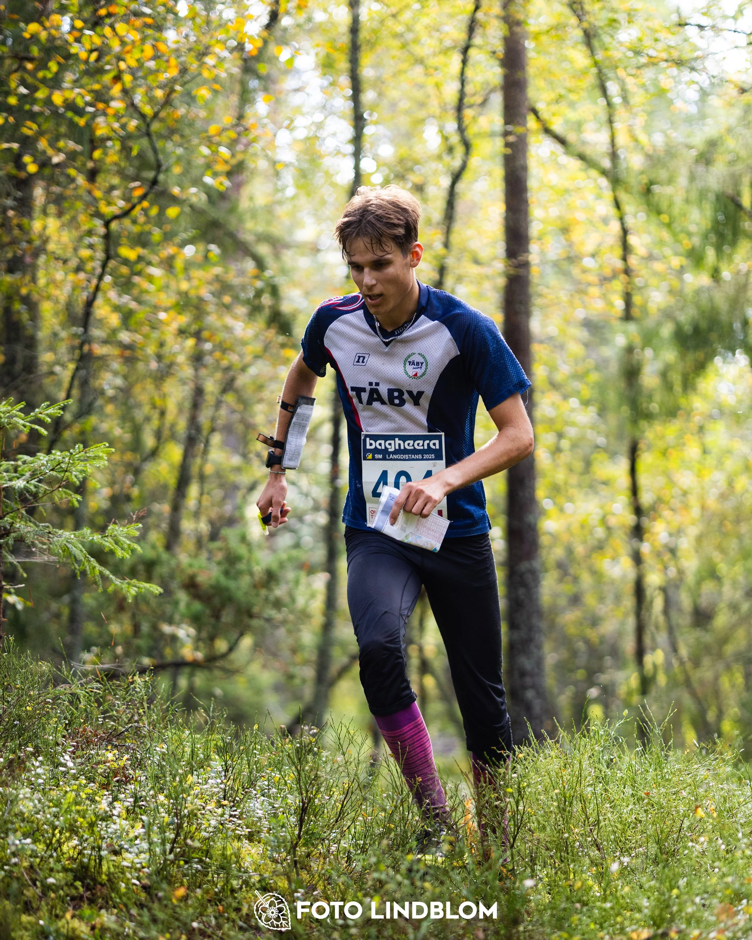 A picture from the Swedish national championship in long distance orienteering and Swedish league race taken by Foto Lindblom