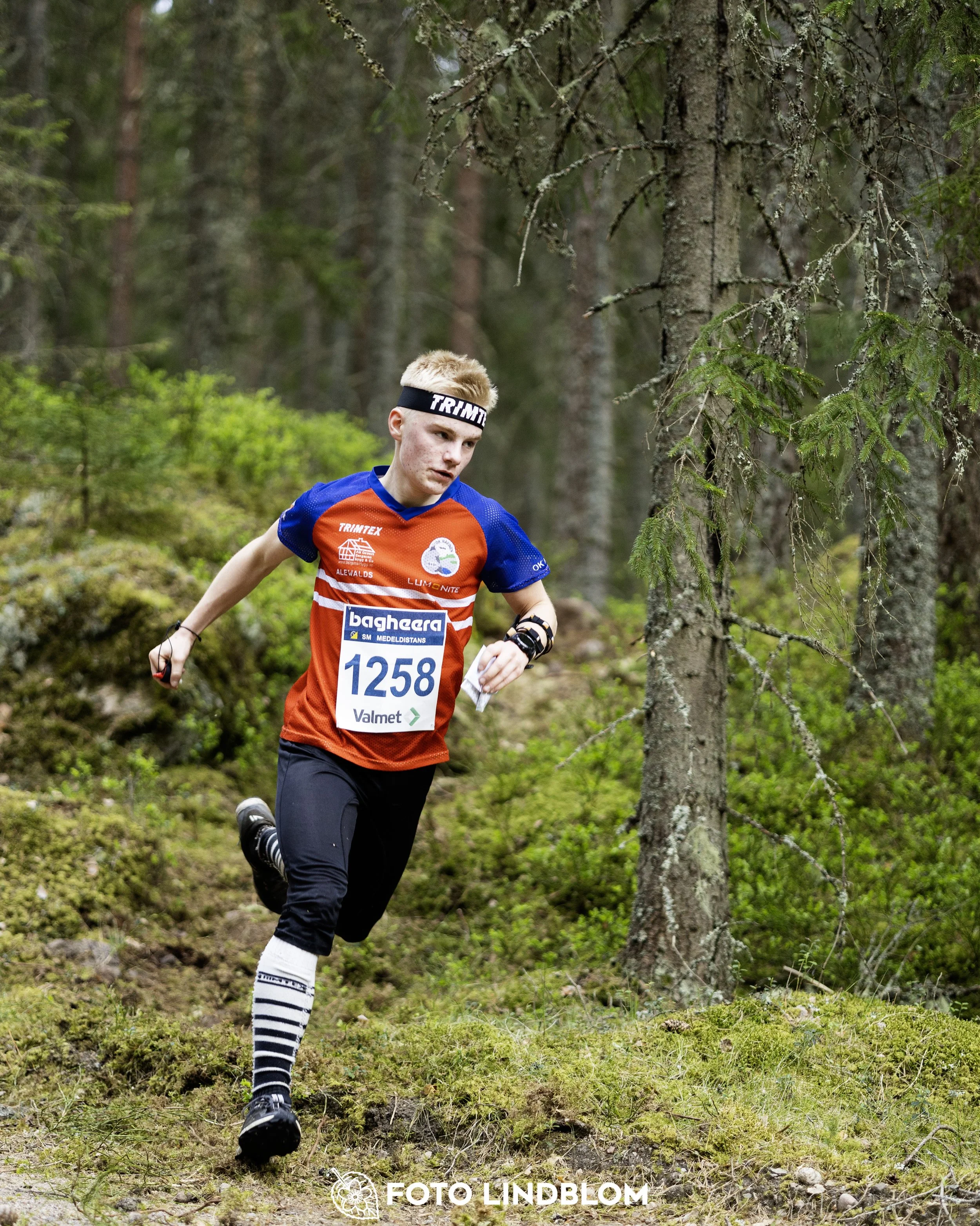 A picture from the Swedish national championship in middle distance orienteering and Swedish league race