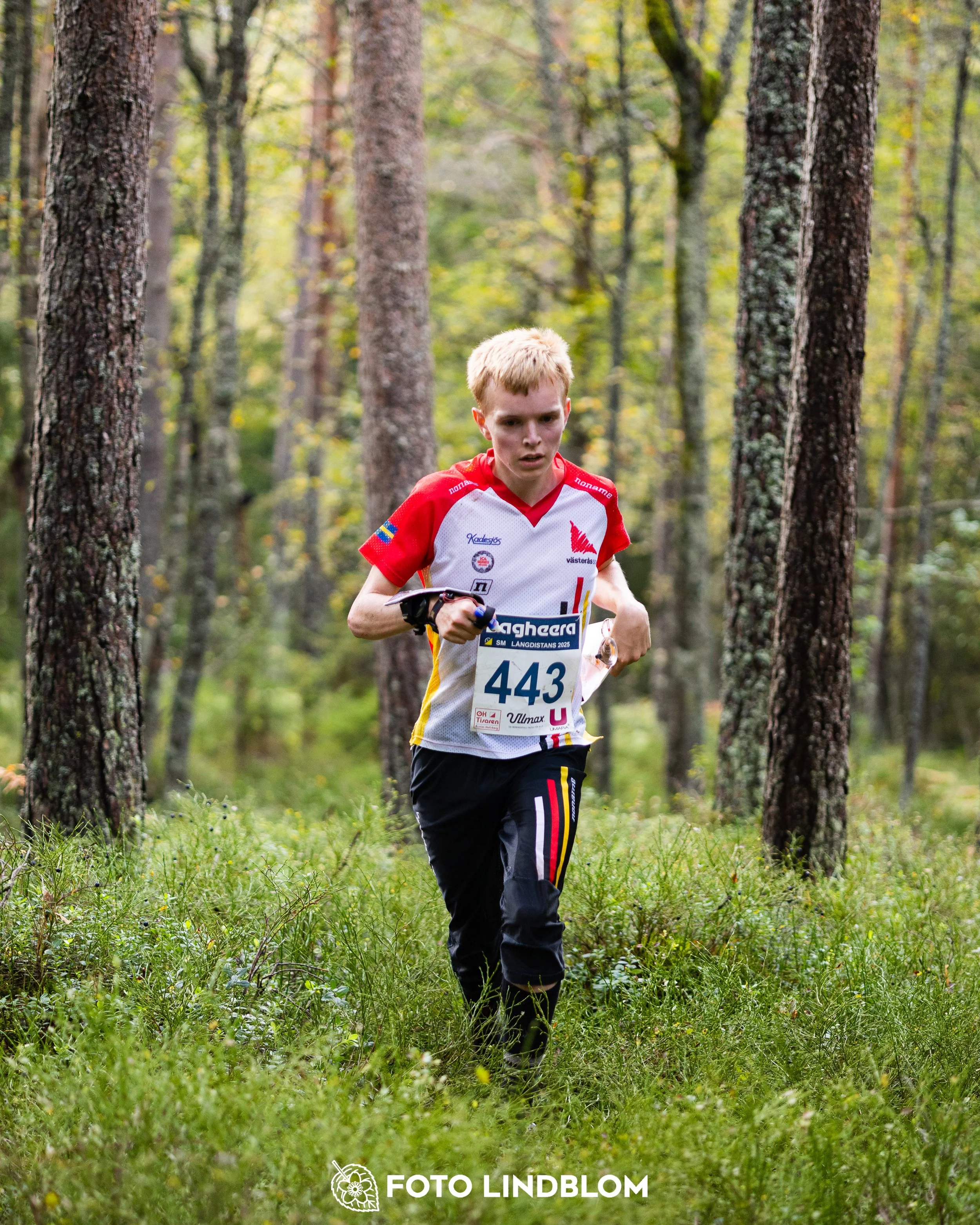 A picture from the Swedish national championship in long distance orienteering and Swedish league race taken by Foto Lindblom