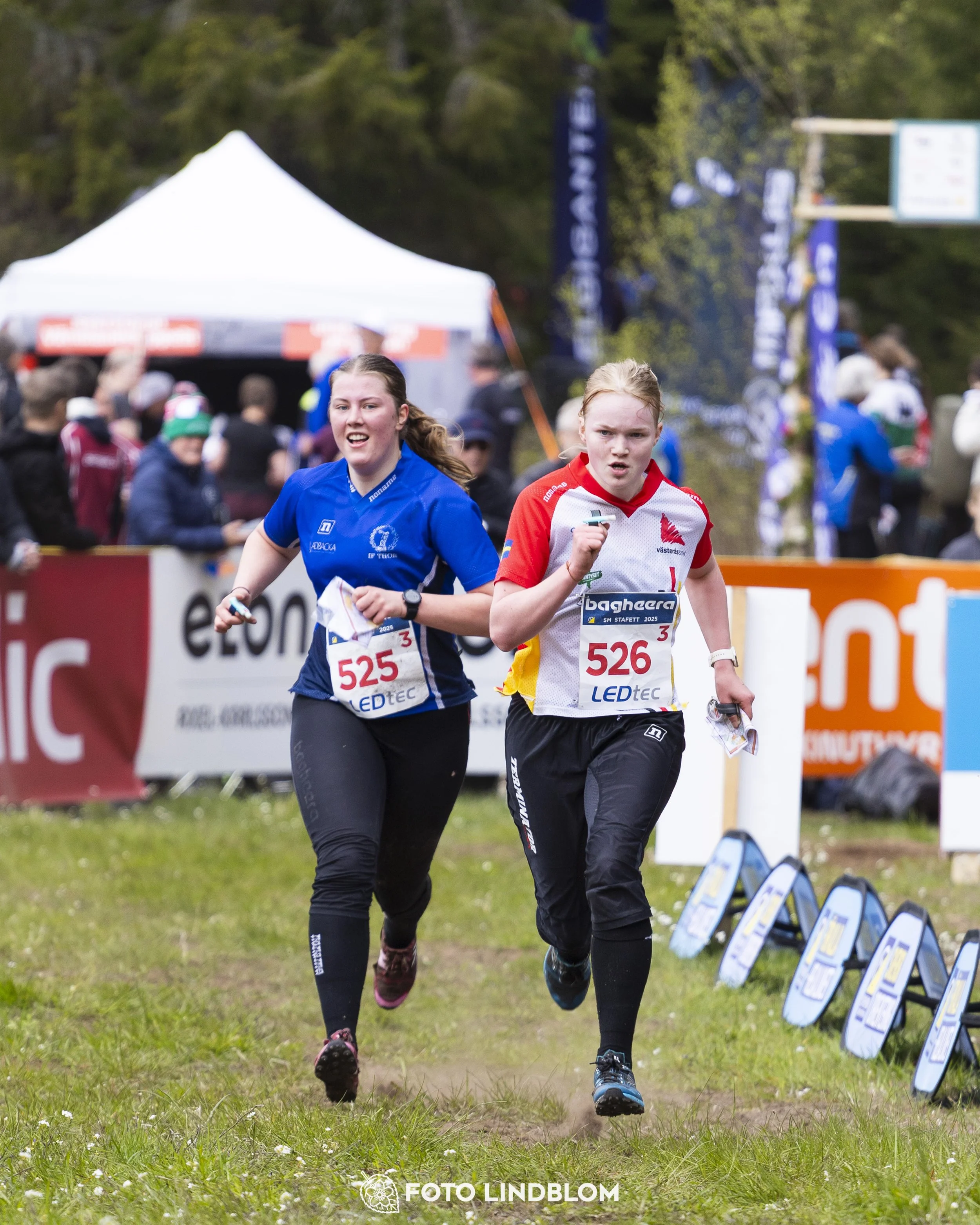 A picture from the Swedish national championship in relay orienteering