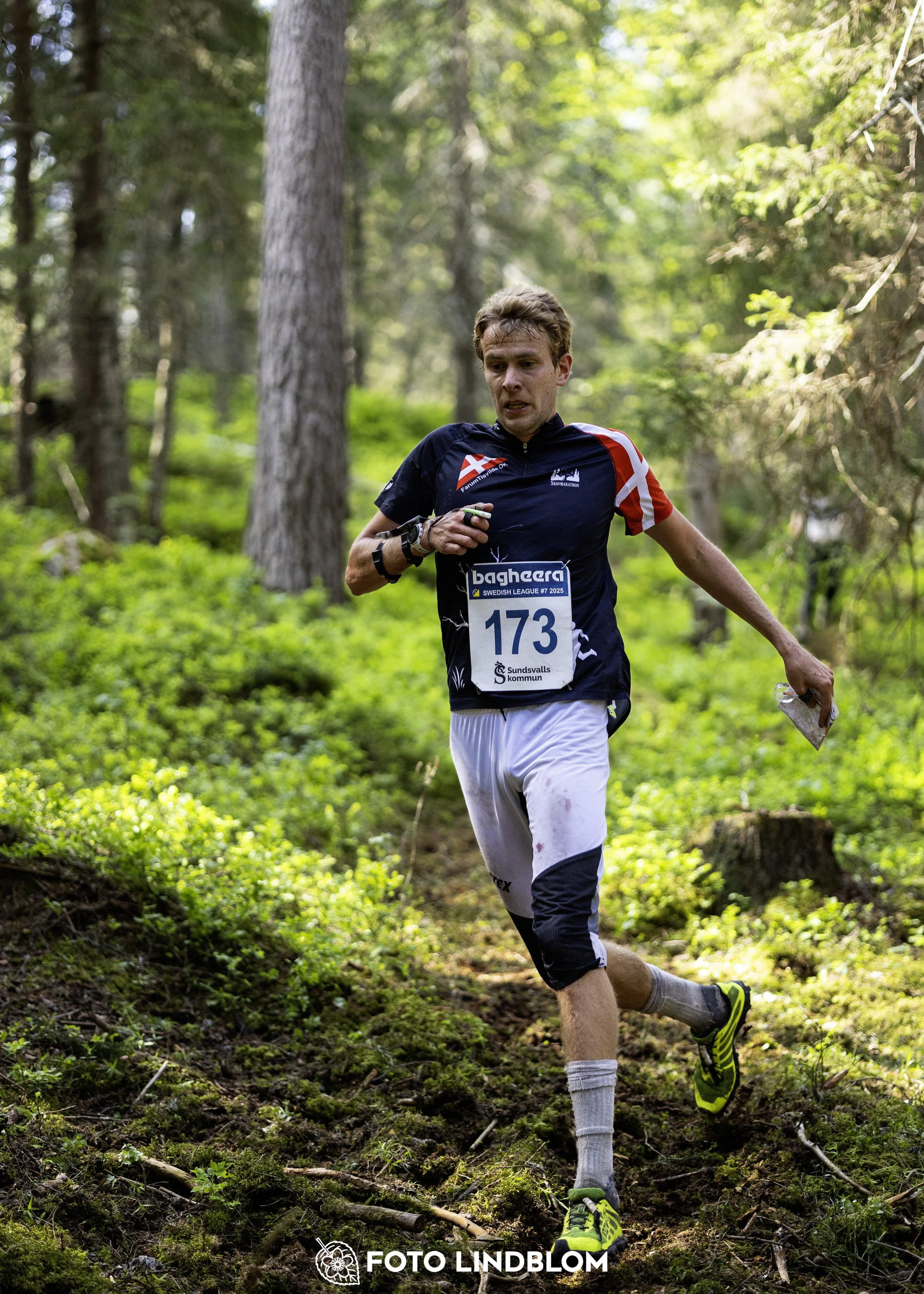 A picture from the seventh stage of the Swedish League orienteering competition