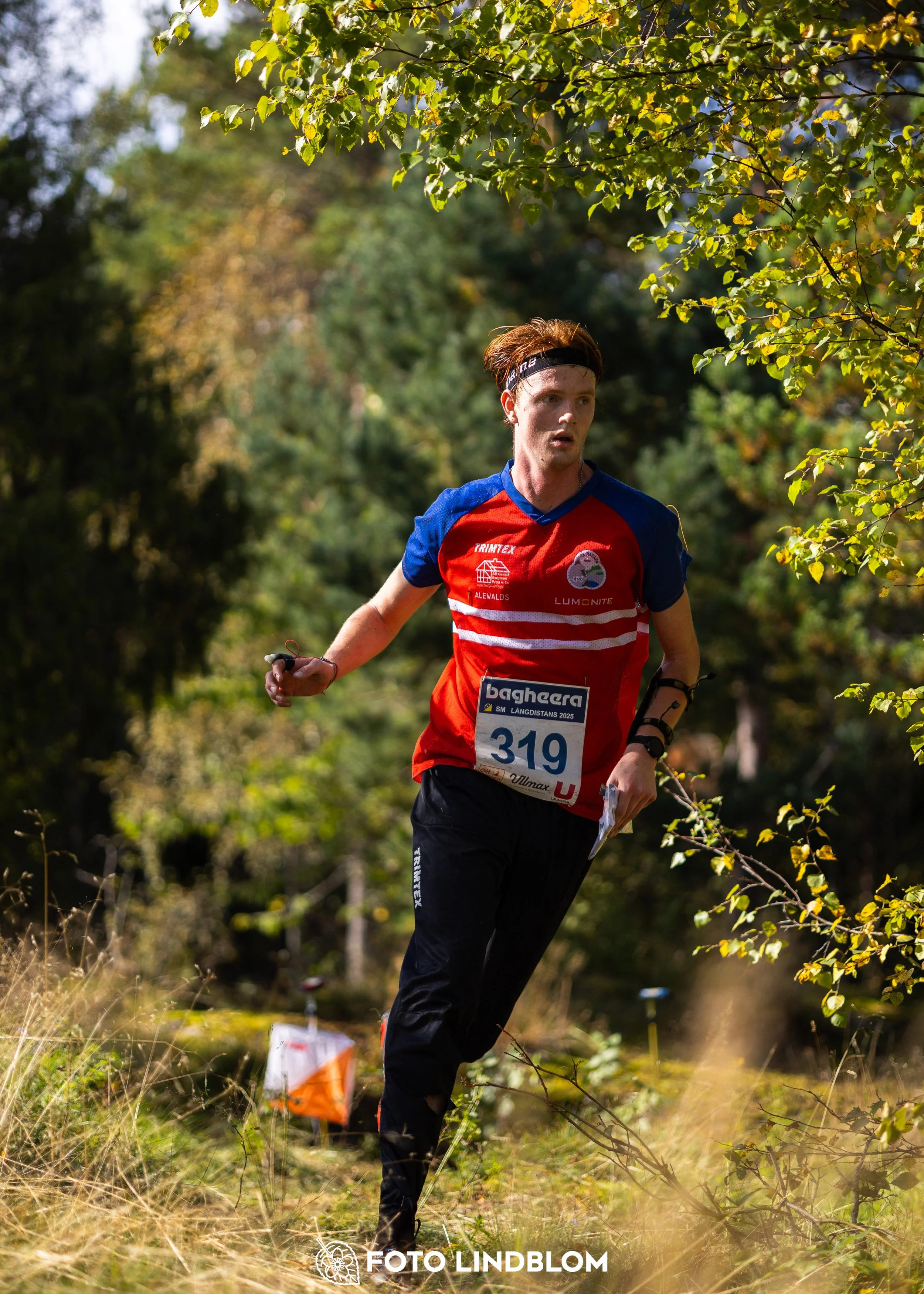 A picture from the Swedish national championship in long distance orienteering and Swedish league race taken by Foto Lindblom