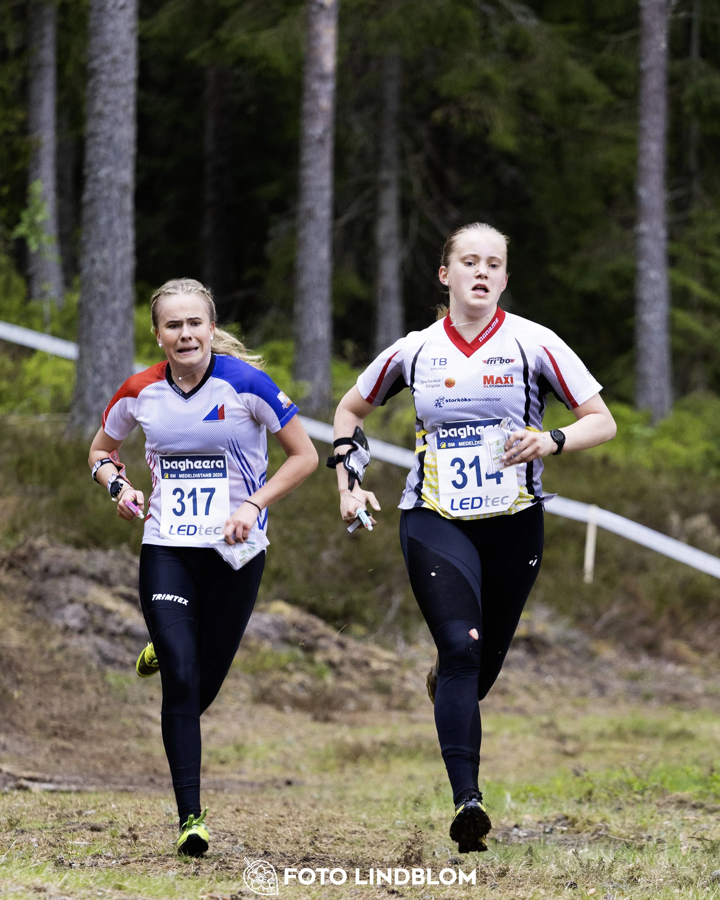 A picture from the Swedish national championship in middle distance orienteering and Swedish league race