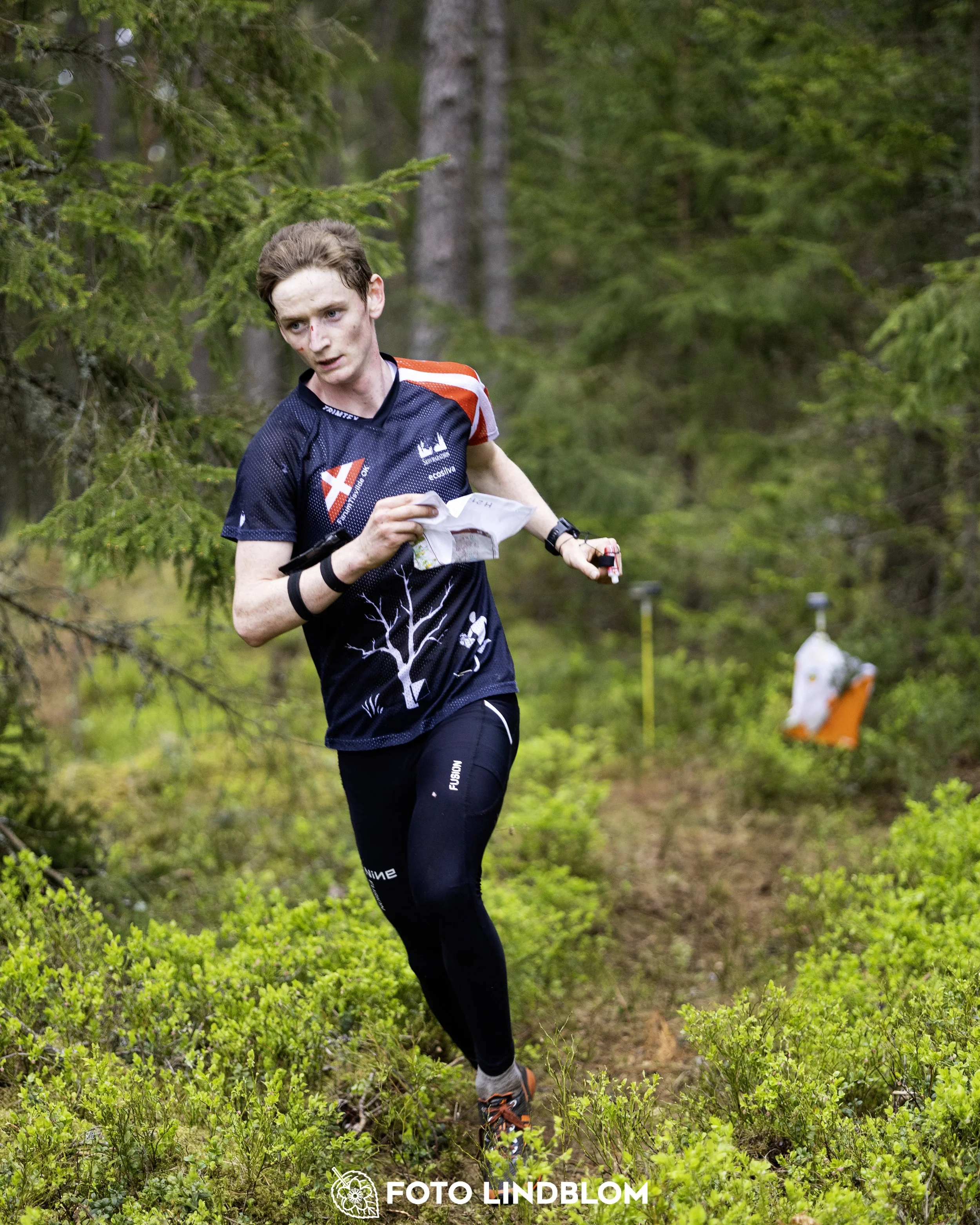 A picture from the Swedish national championship in middle distance orienteering and Swedish league race