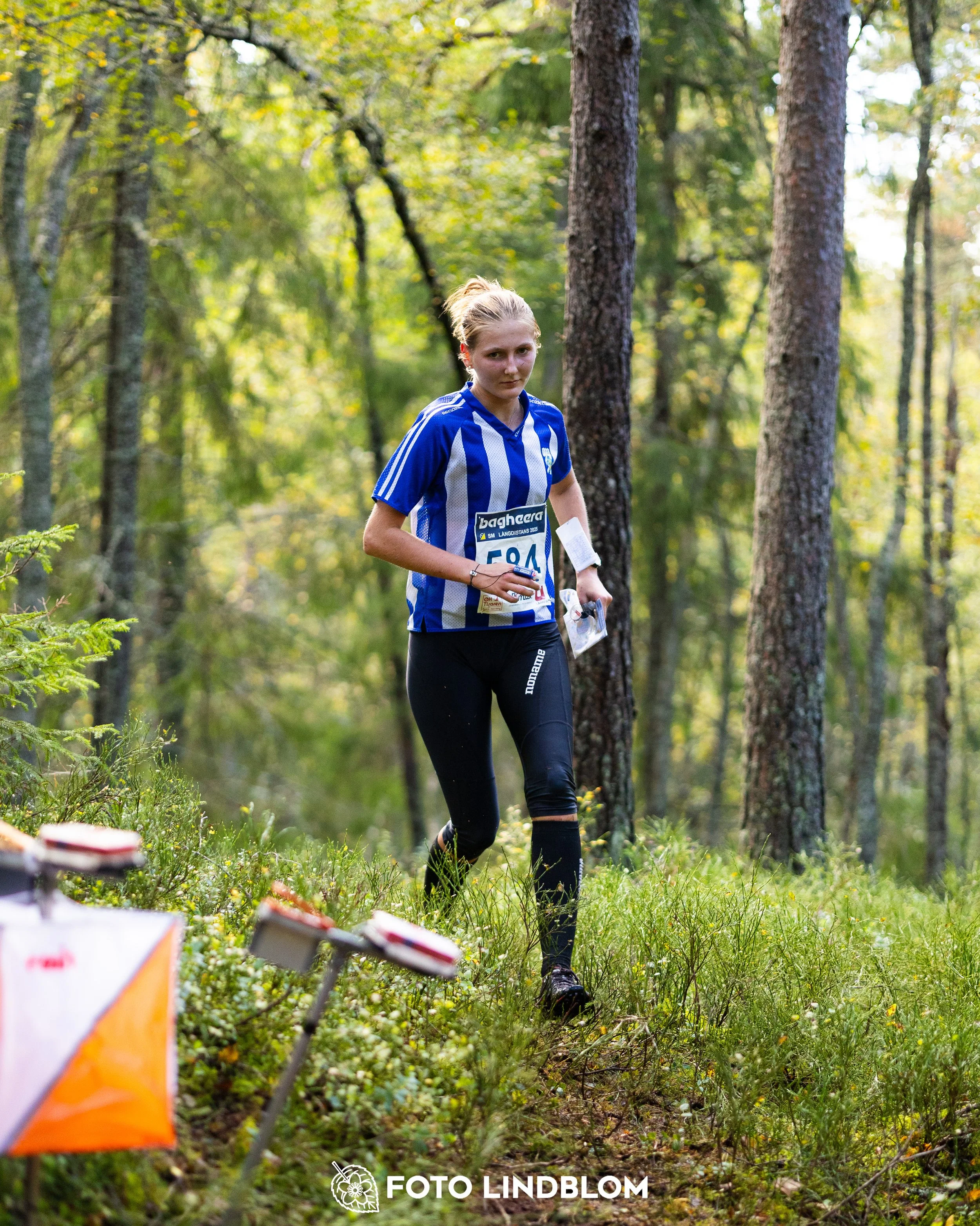 A picture from the Swedish national championship in long distance orienteering and Swedish league race taken by Foto Lindblom