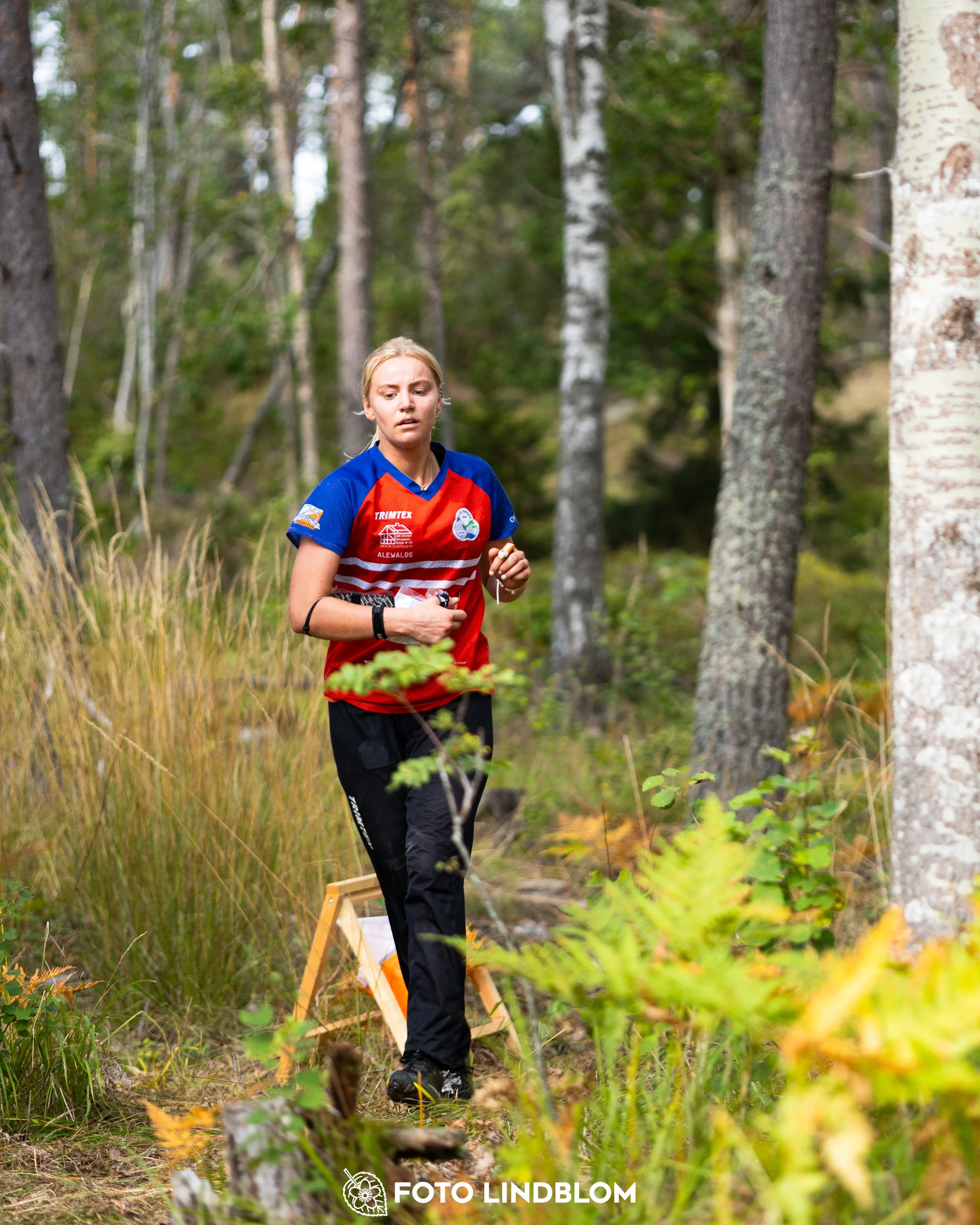 A picture from the Stockholm district championship in middle distance orienteering taken by Foto Lindblom