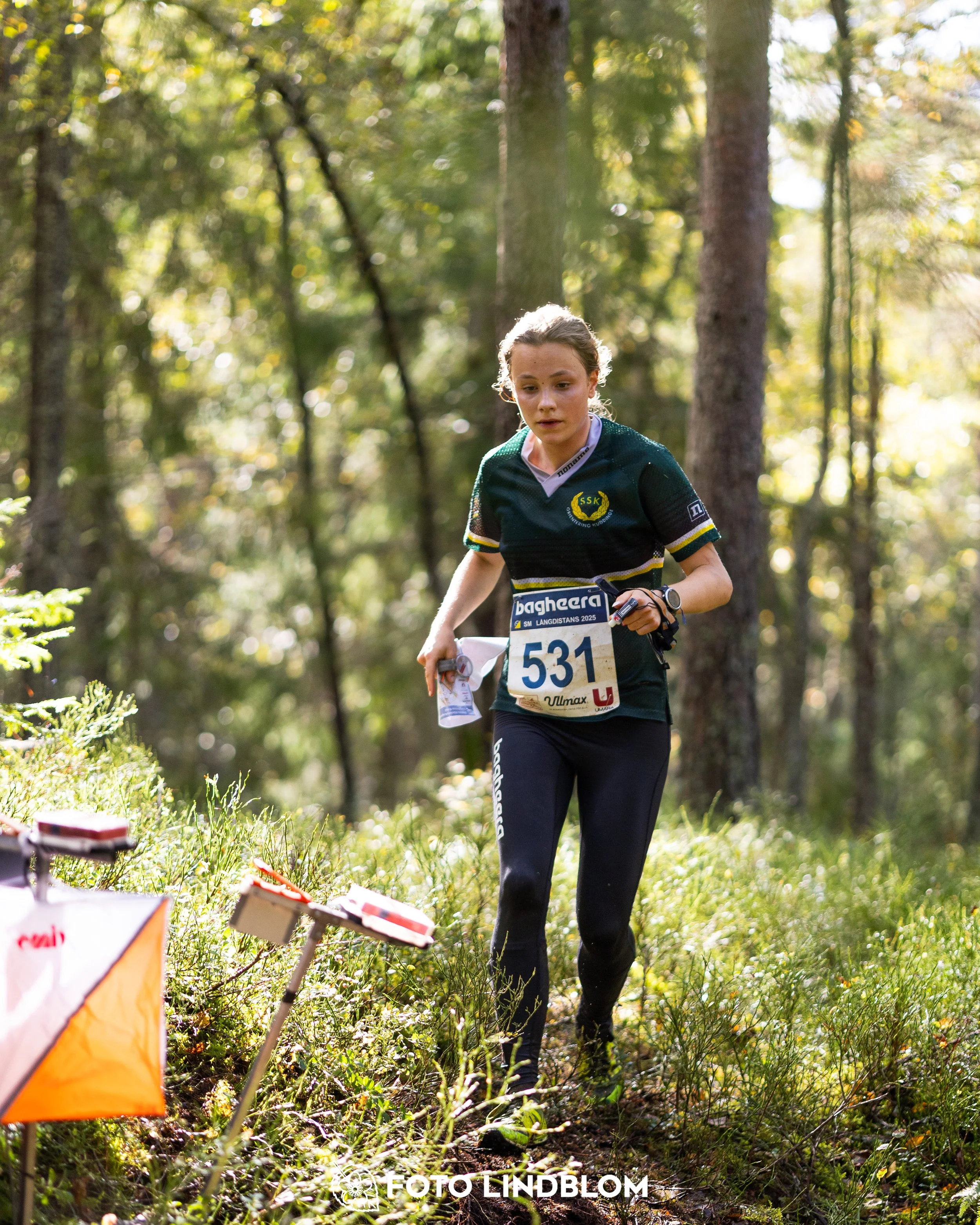 A picture from the Swedish national championship in long distance orienteering and Swedish league race taken by Foto Lindblom