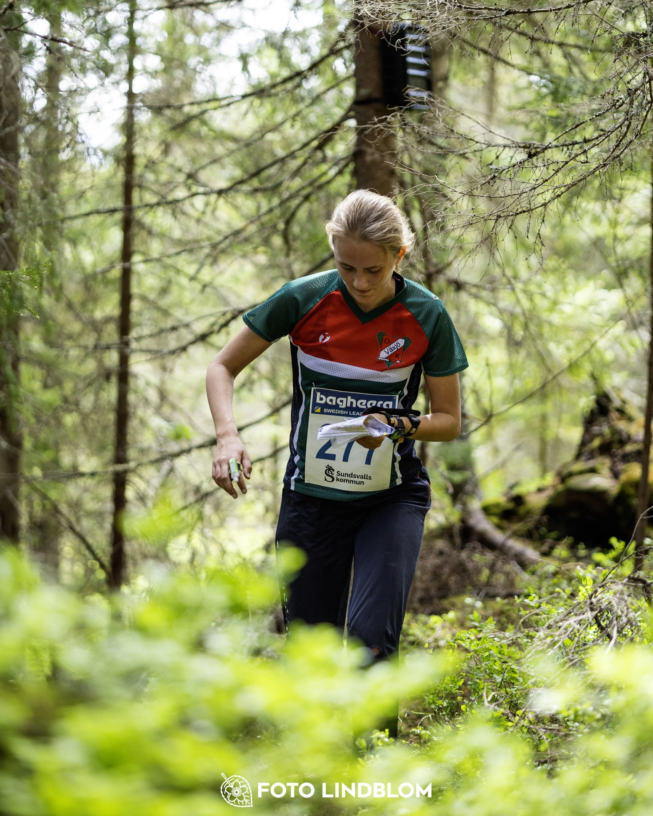 A picture from the seventh stage of the Swedish League orienteering competition