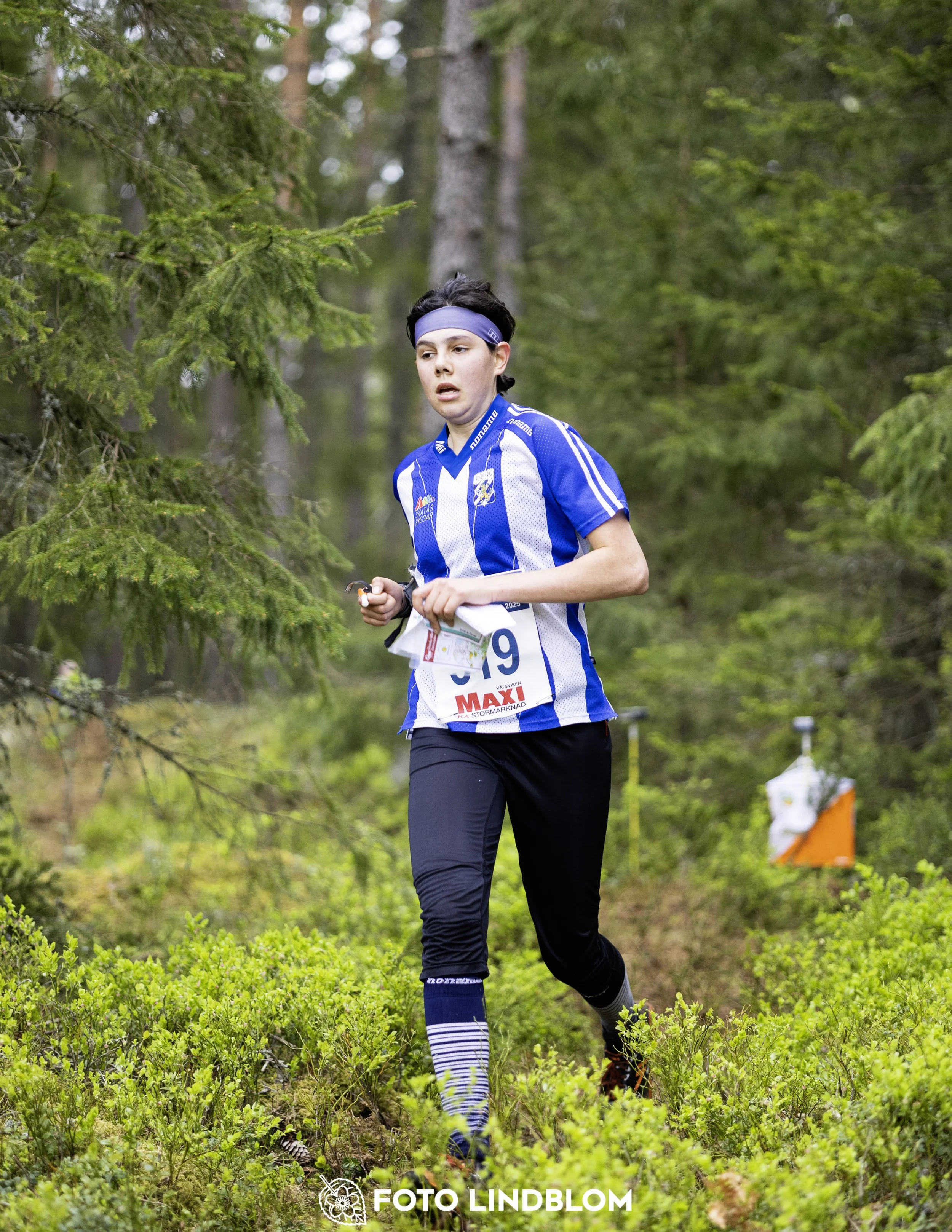 A picture from the Swedish national championship in middle distance orienteering and Swedish league race