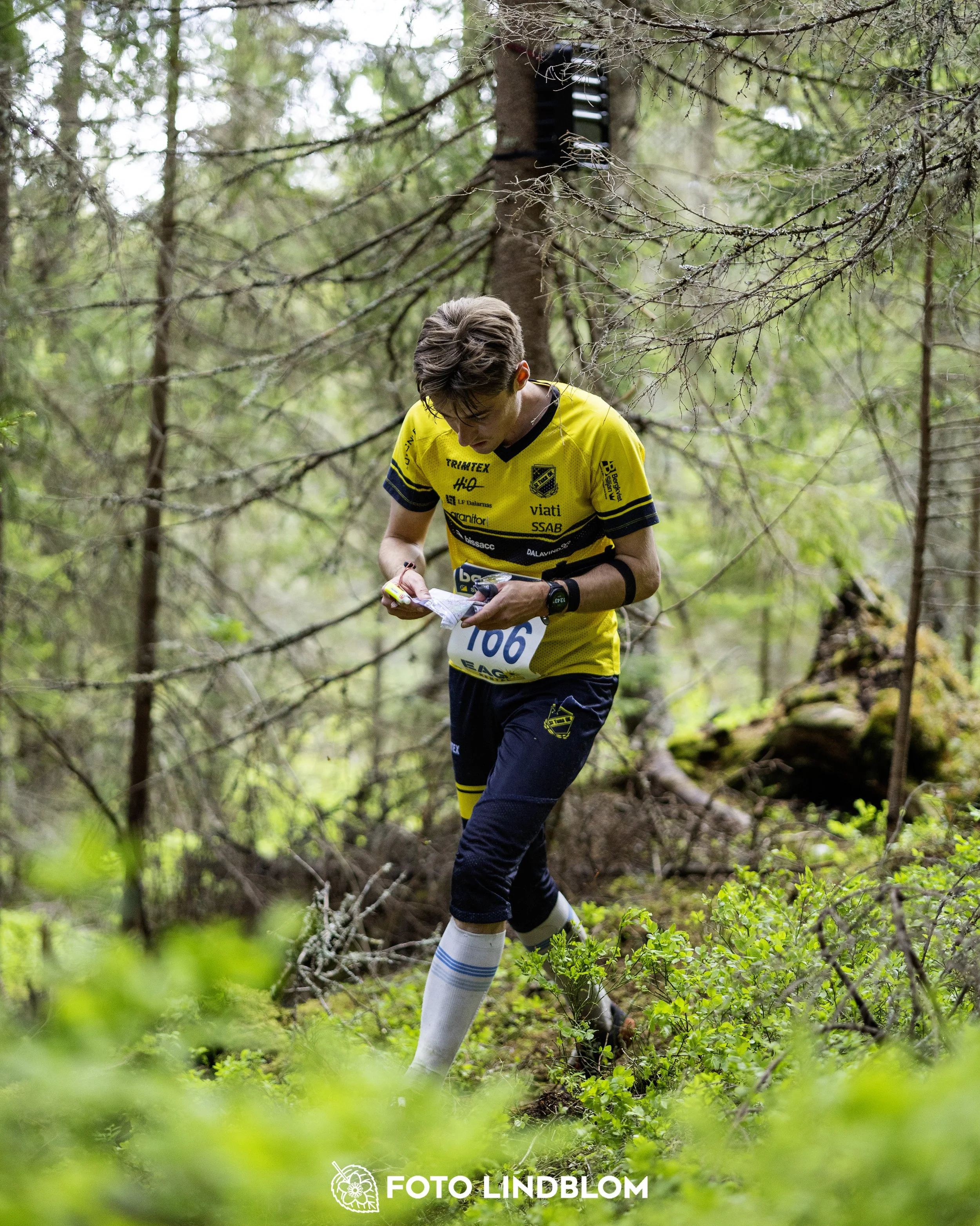 A picture from the seventh stage of the Swedish League orienteering competition