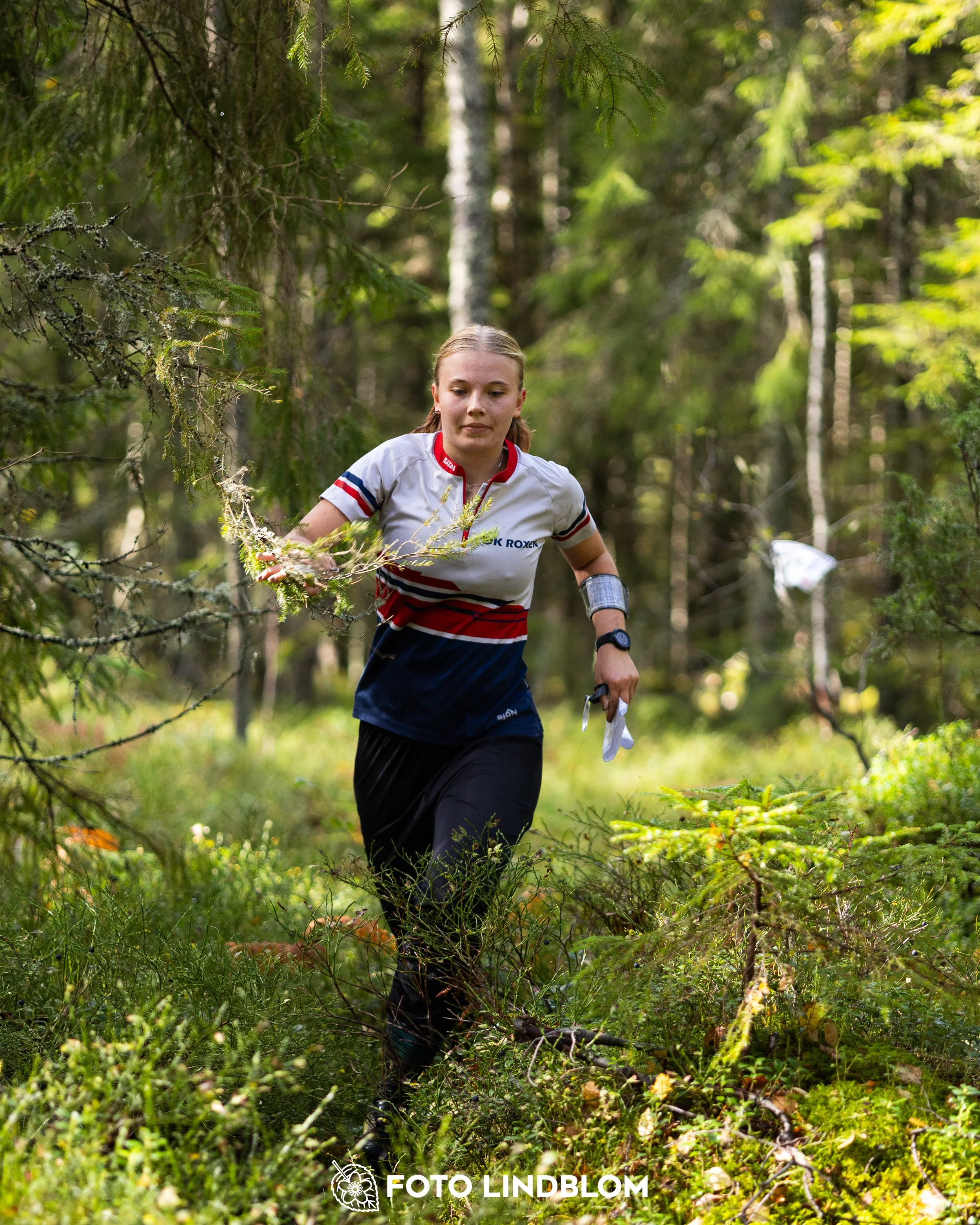 A picture from the Swedish national championship in long distance orienteering and Swedish league race taken by Foto Lindblom