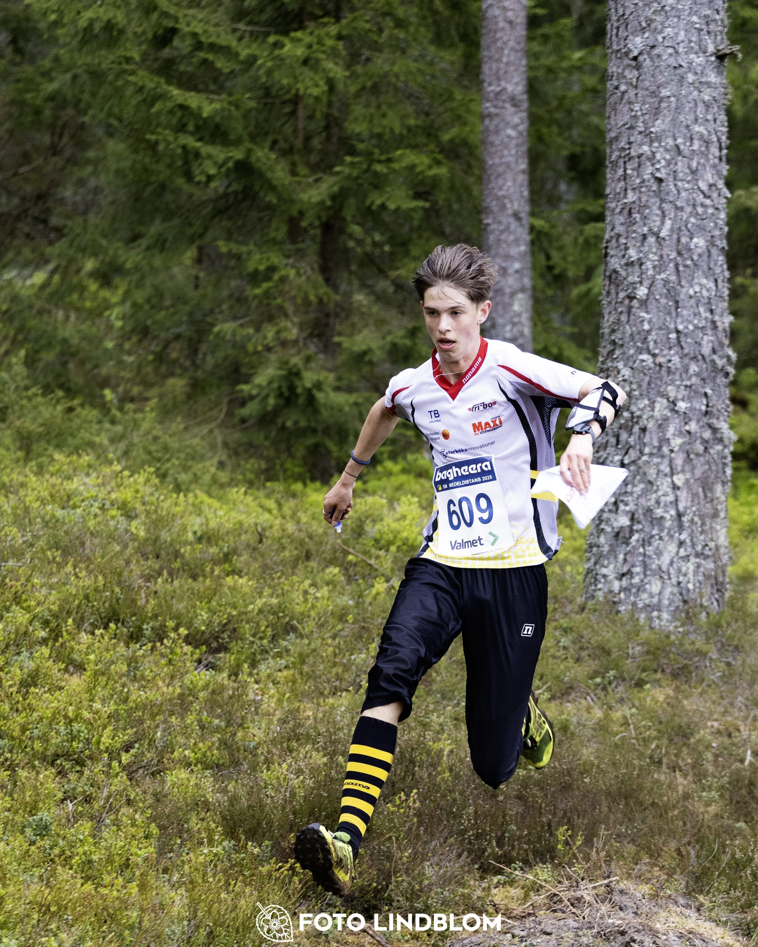 A picture from the Swedish national championship in middle distance orienteering and Swedish league race