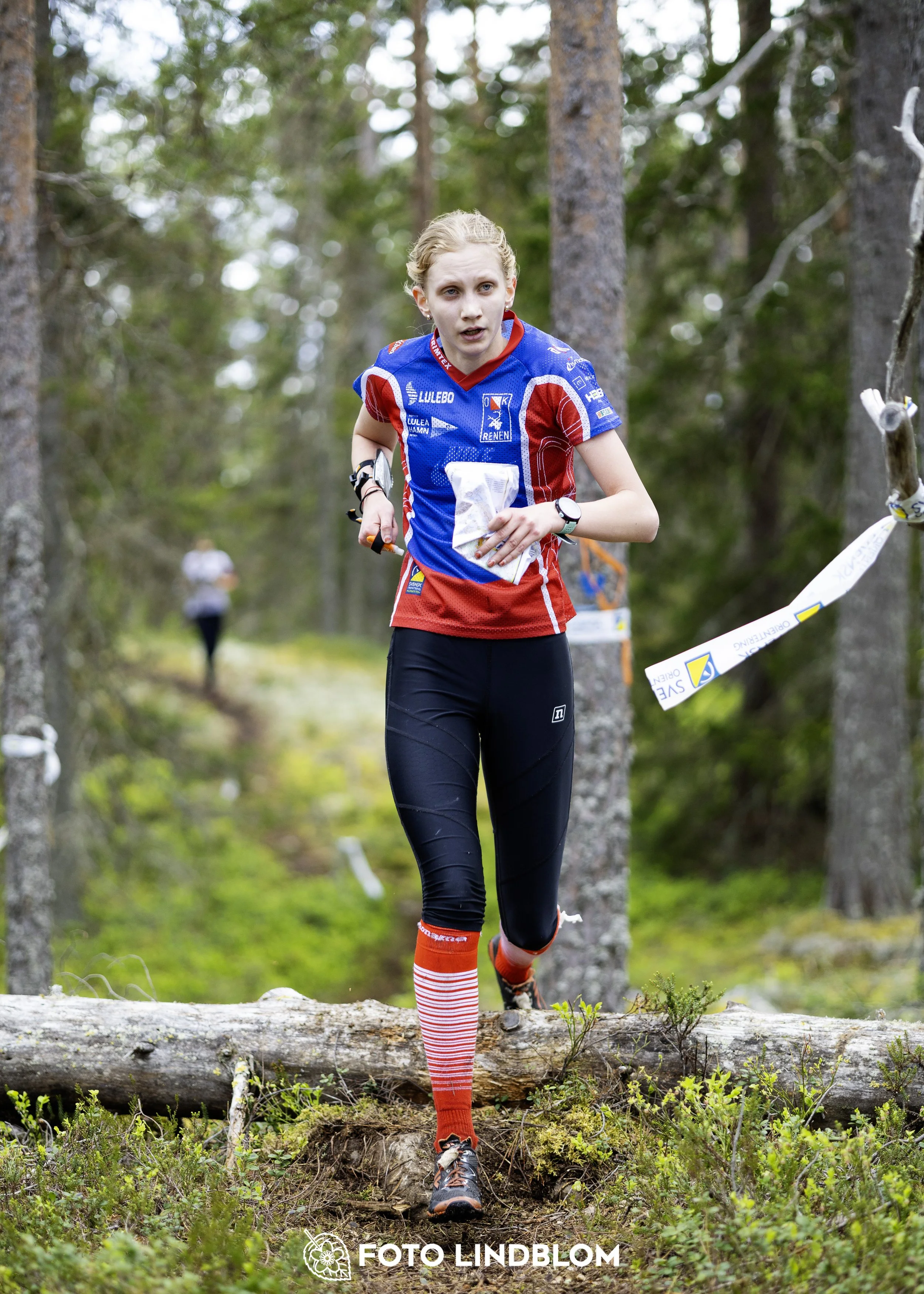 A picture from the seventh stage of the Swedish League orienteering competition