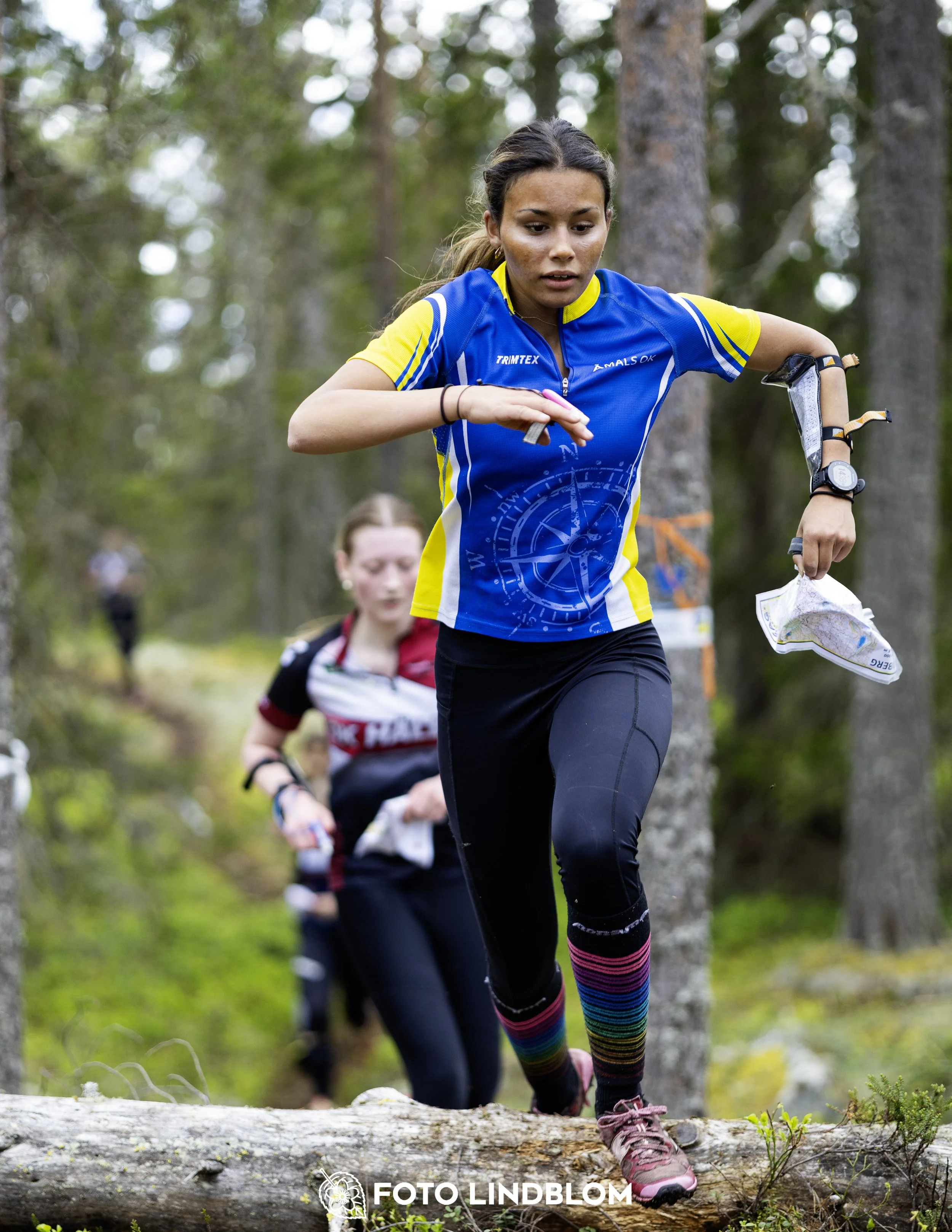 A picture from the seventh stage of the Swedish League orienteering competition