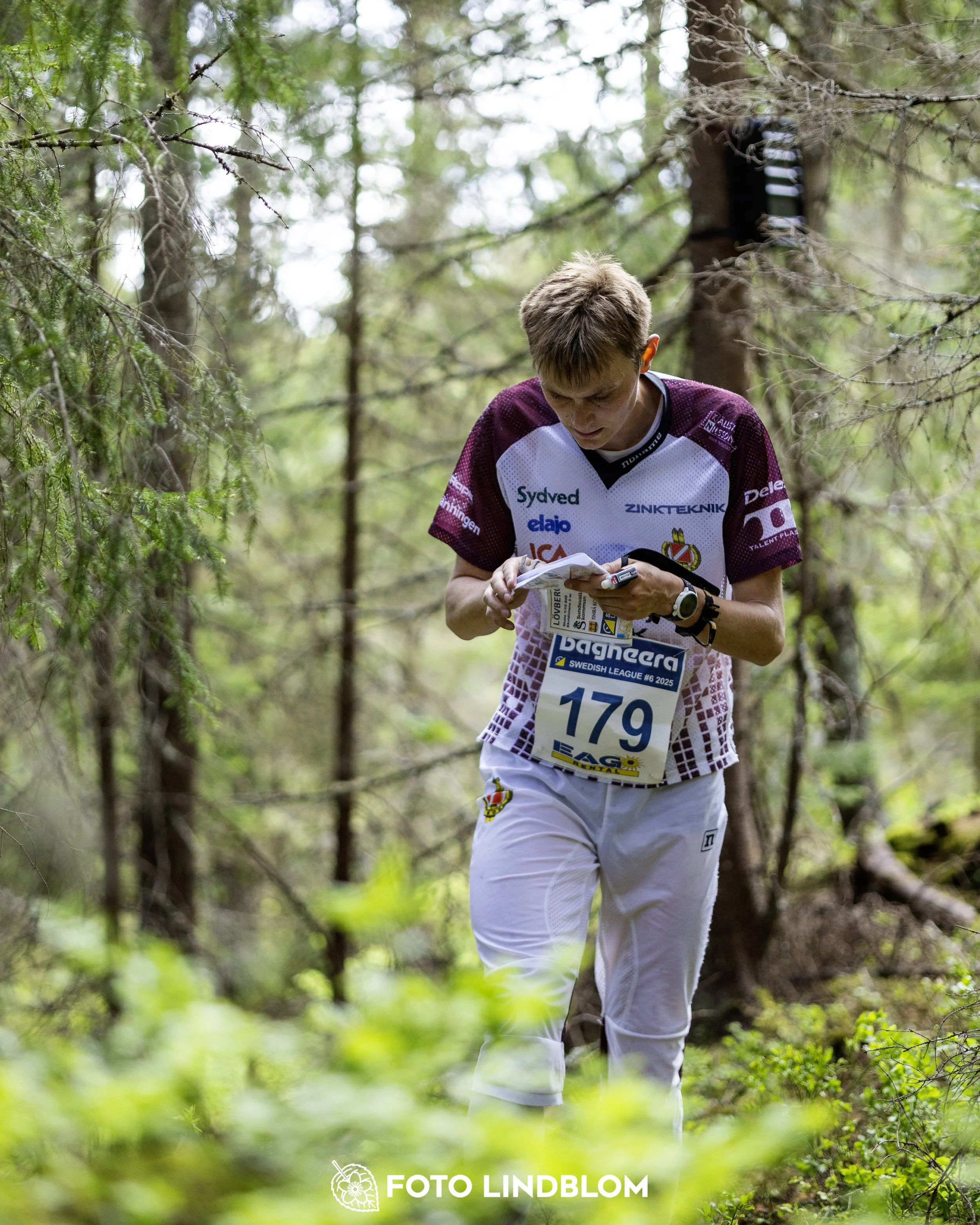 A picture from the seventh stage of the Swedish League orienteering competition