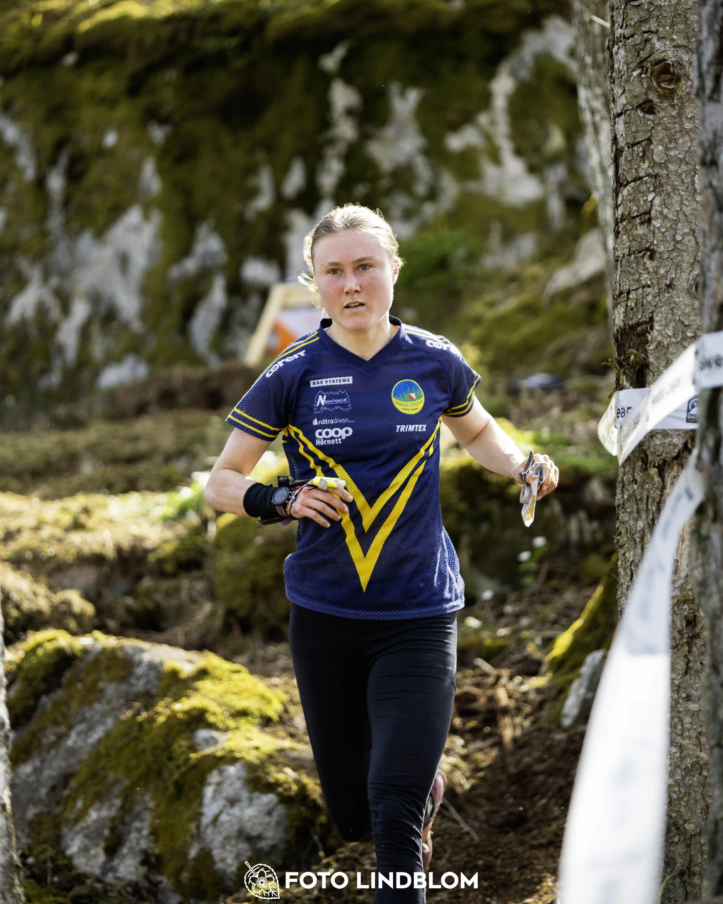 A picture from the third stage of the Swedish League orienteering competition