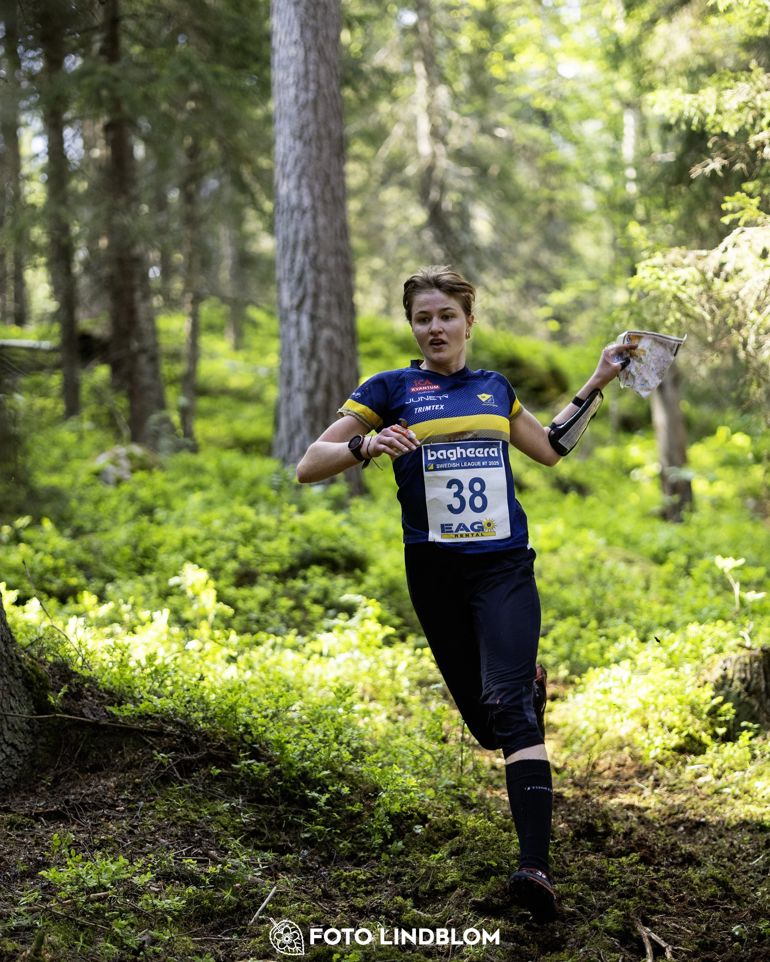 A picture from the seventh stage of the Swedish League orienteering competition