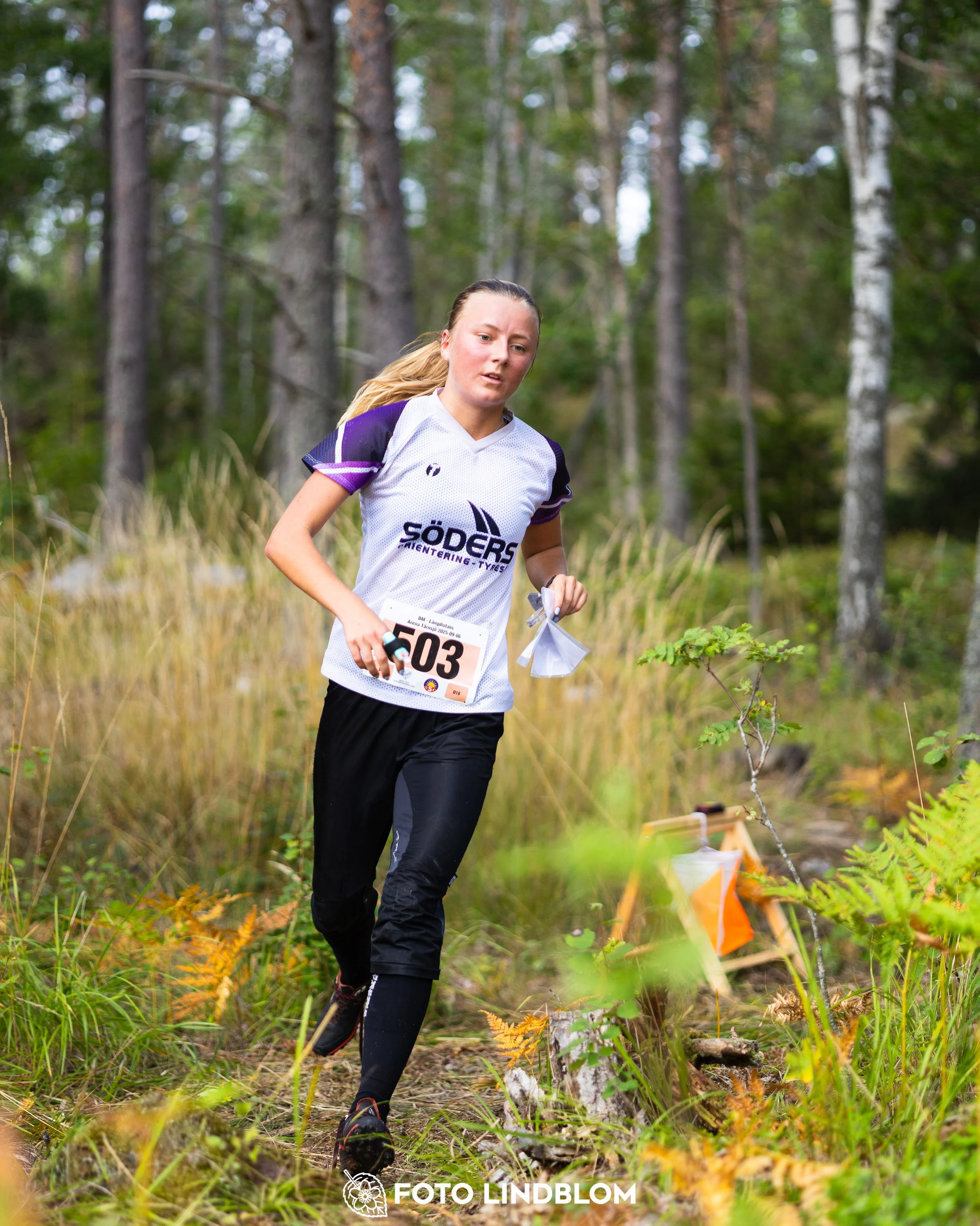 A picture from the Stockholm district championship in middle distance orienteering taken by Foto Lindblom