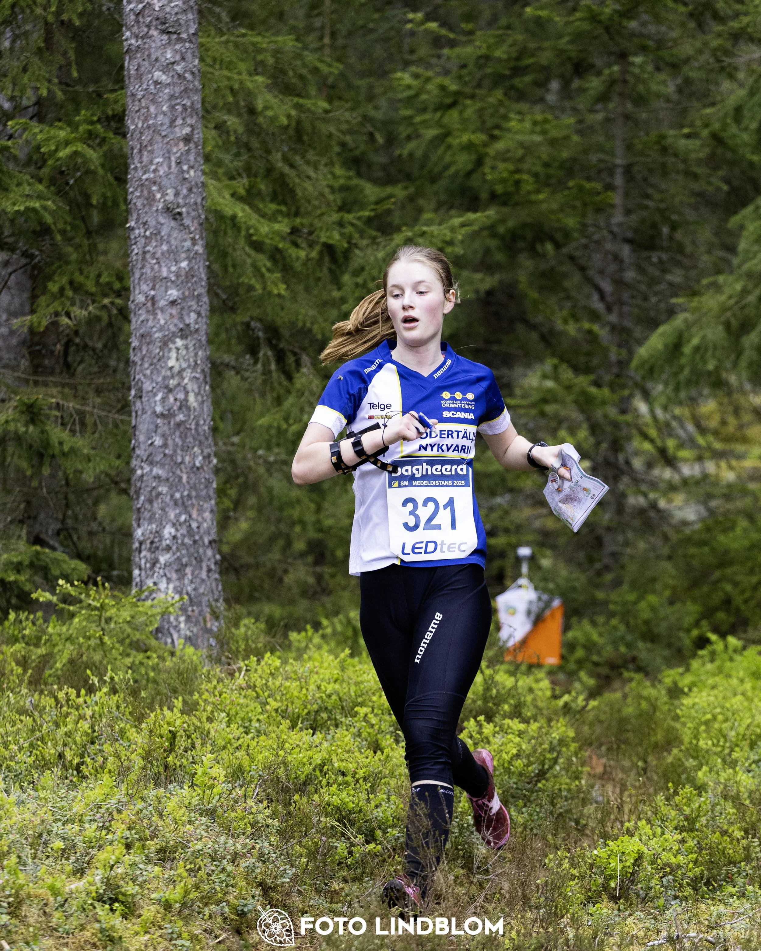 A picture from the Swedish national championship in middle distance orienteering and Swedish league race