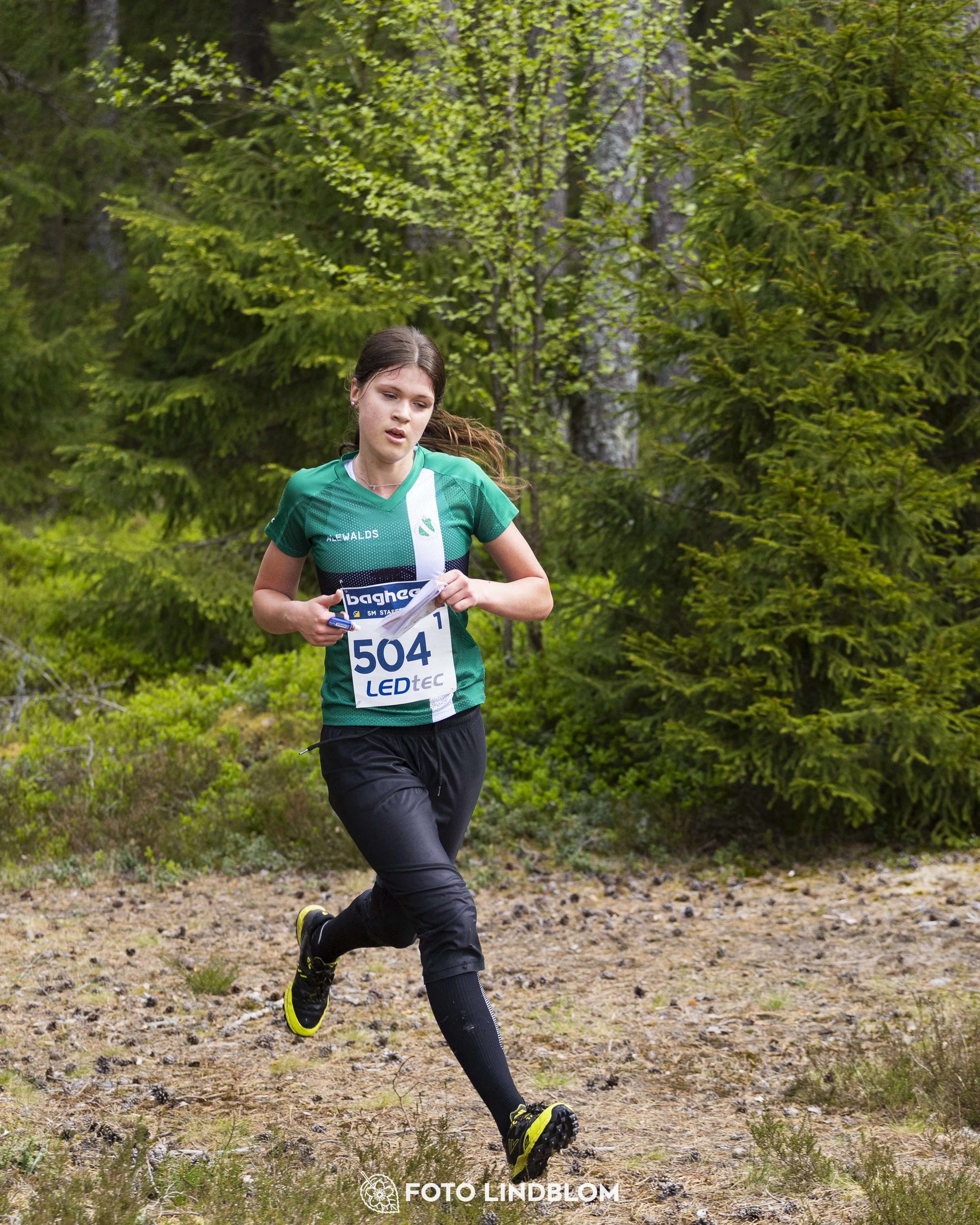 A picture from the Swedish national championship in relay orienteering