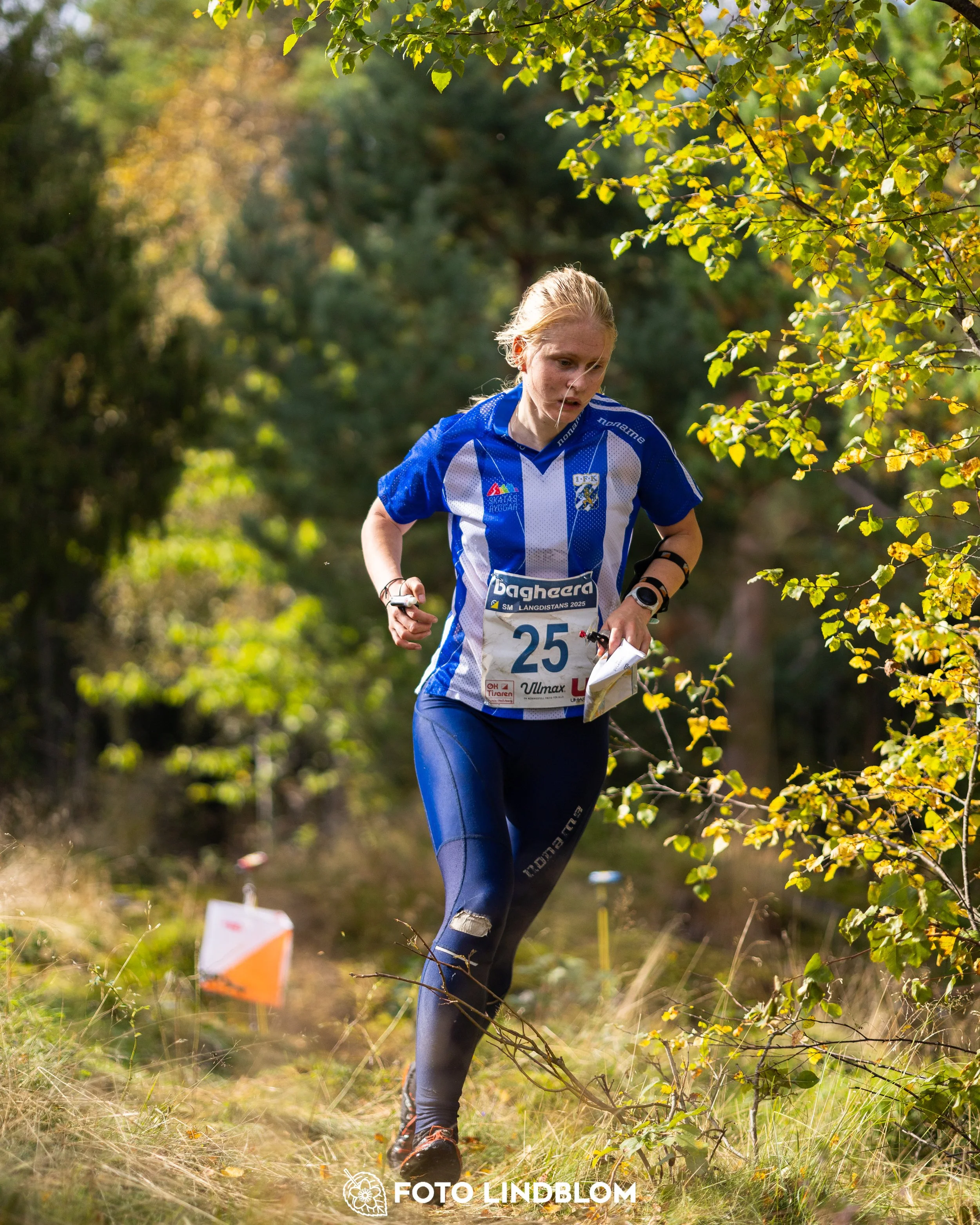 A picture from the Swedish national championship in long distance orienteering and Swedish league race taken by Foto Lindblom