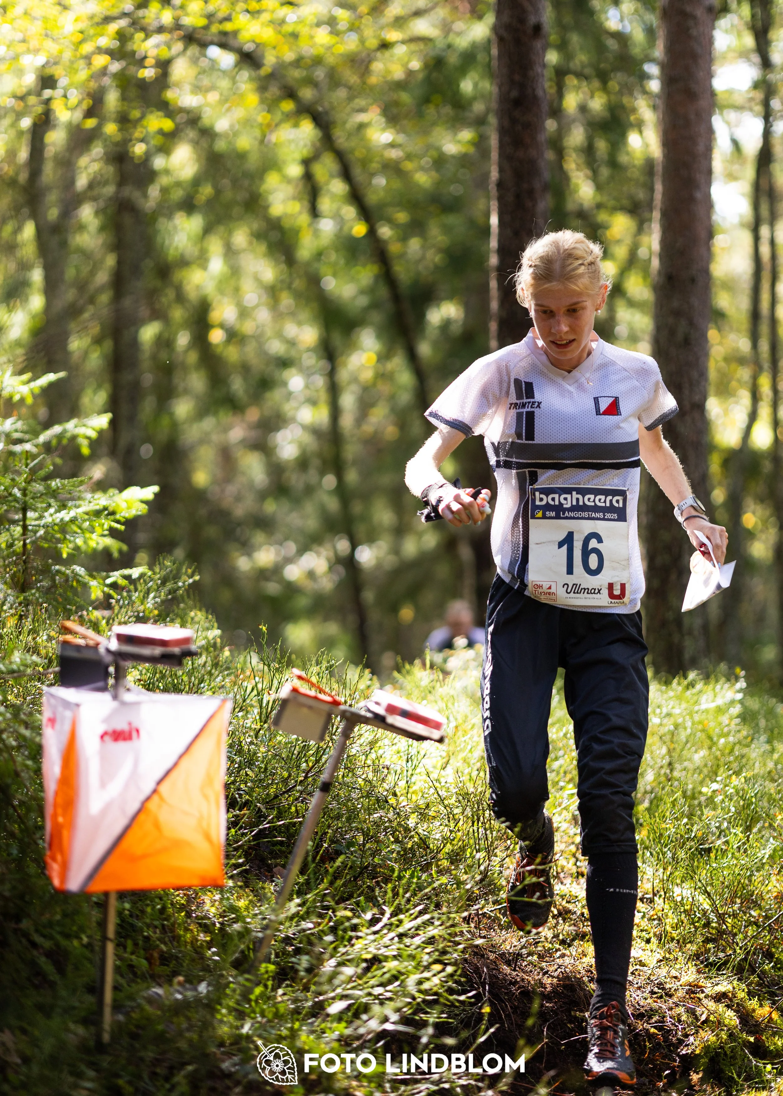 A picture from the Swedish national championship in long distance orienteering and Swedish league race taken by Foto Lindblom