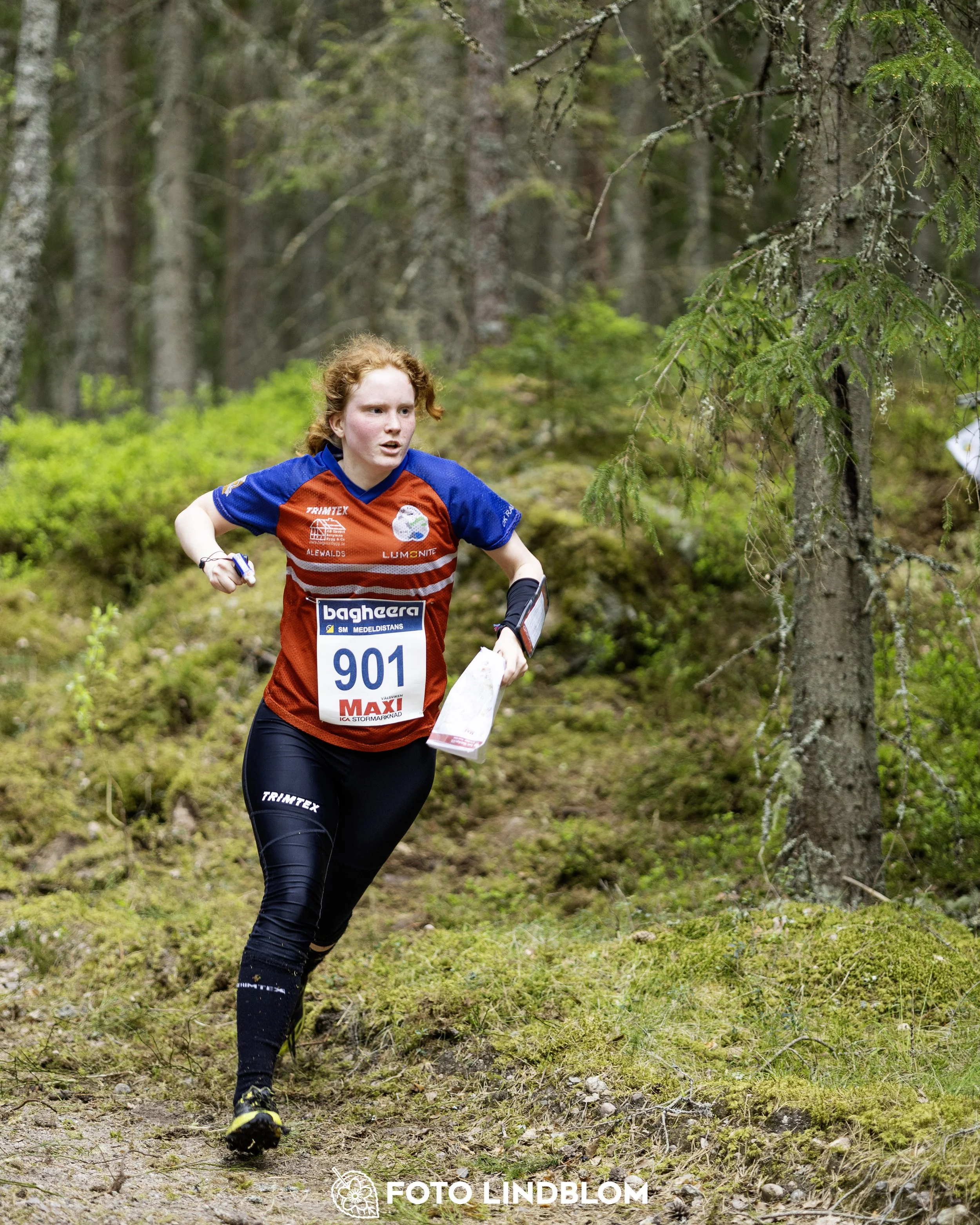 A picture from the Swedish national championship in middle distance orienteering and Swedish league race